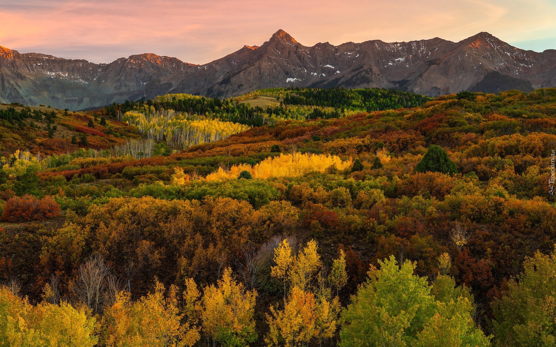 Stany Zjednoczone, Stan Kolorado, Telluride, Kolorowe, Drzewa, Las, Jesień, Góry, San Juan Mountains