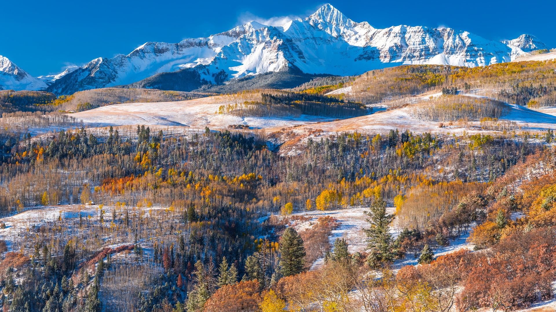 Ośnieżone, Góry, San Juan Mountains, Góra, Wilson Peak, Pożółkłe, Drzewa, Lasy, Telluride, Kolorado, Stany Zjednoczone