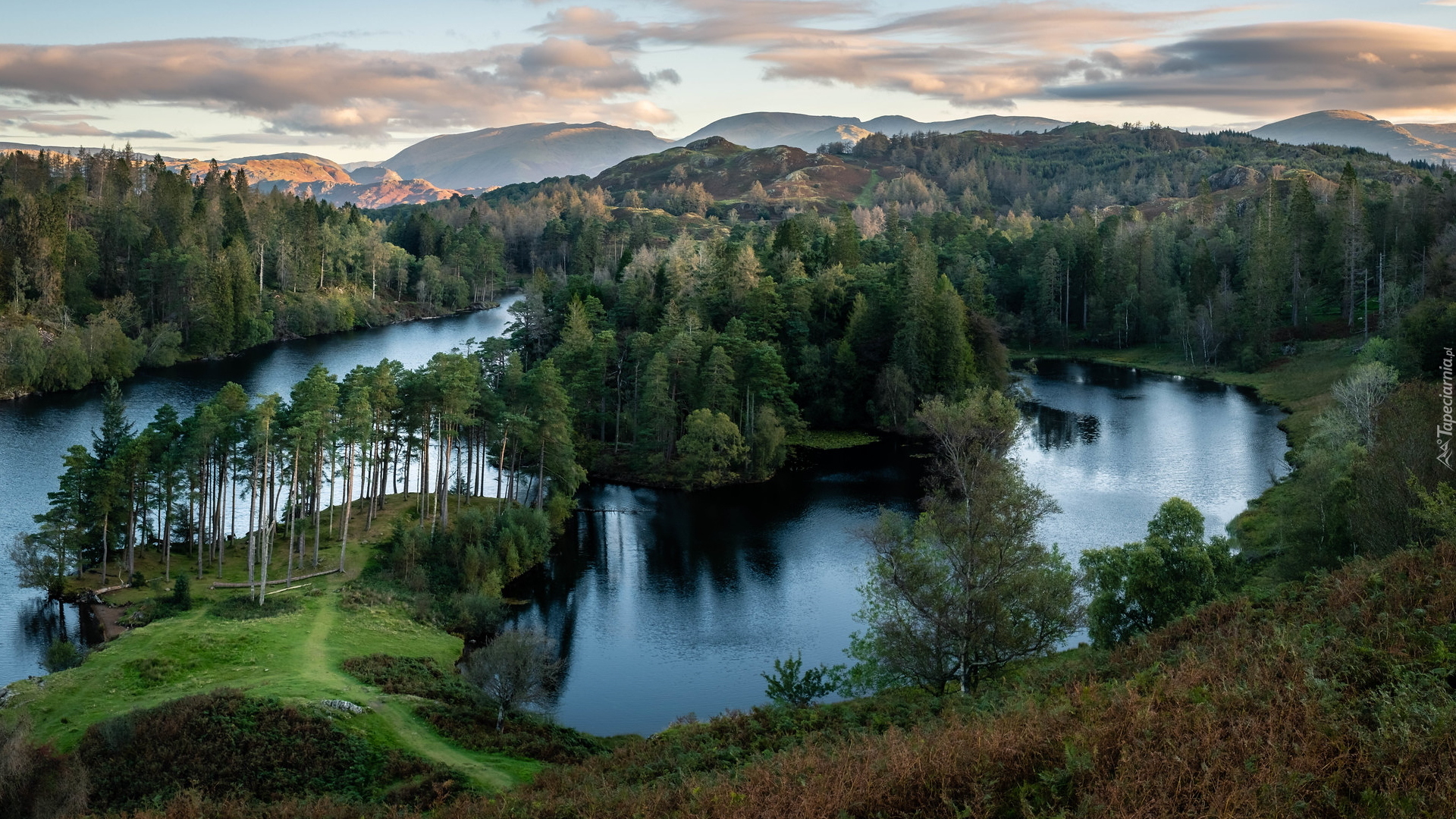 Park Narodowy Lake District, Wzgórza, Lasy, Jezioro Tarn Hows, Anglia