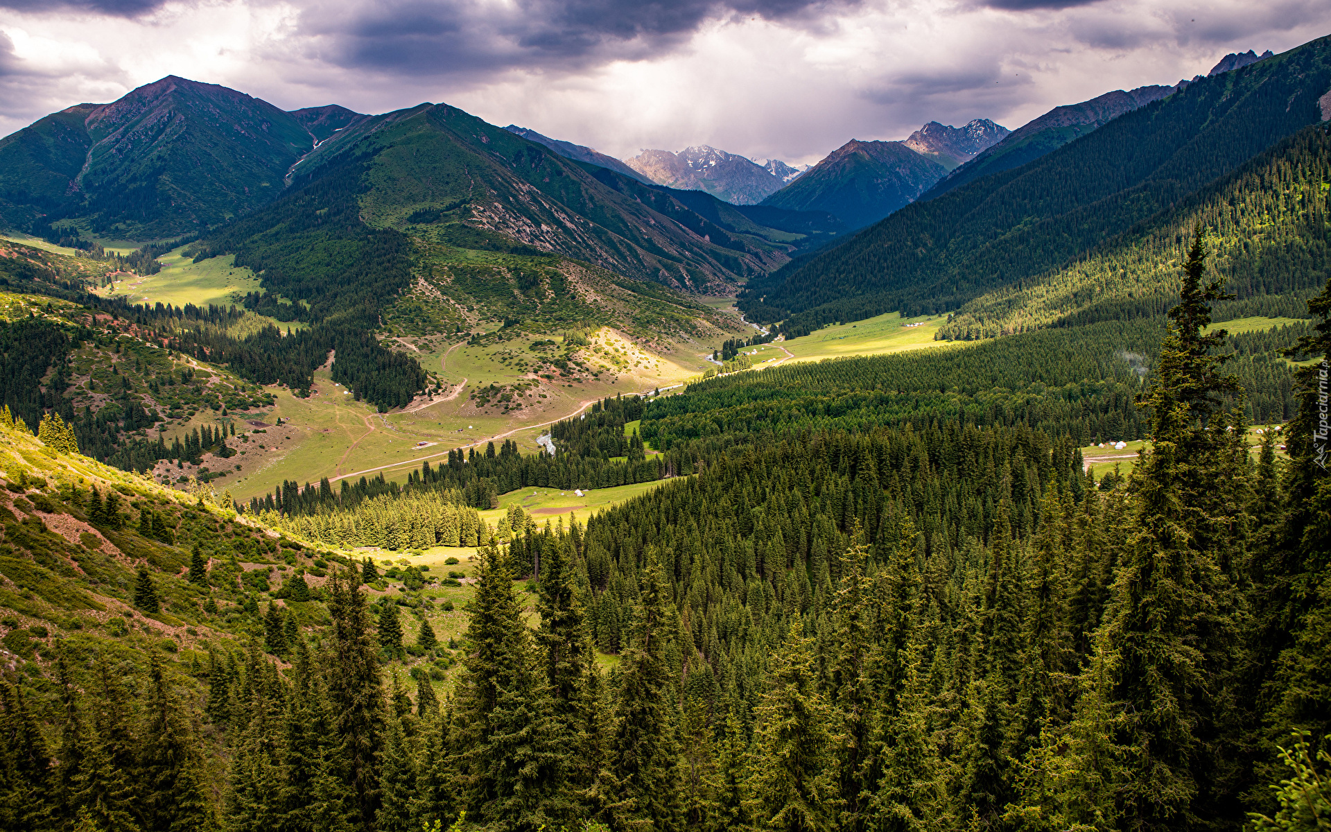 Góry, Dolina, Kok Jayik Valley, Lasy, Drzewa, Chmury, Kirgistan