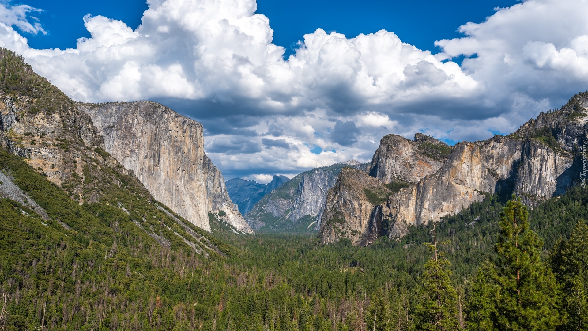 Dolina, Yosemite Valley, Park Narodowy Yosemite, Góry, Drzewa, Lasy, Chmury, Stan Kalifornia, Stany Zjednoczone