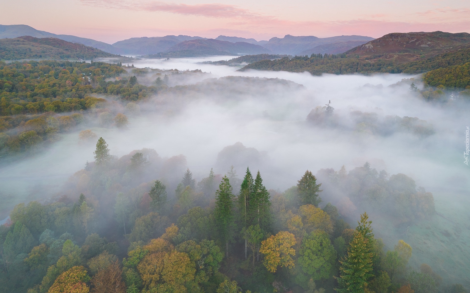 Lasy, Drzewa, Mgła, Wzgórza, Park Narodowy Lake District, Kumbria, Anglia