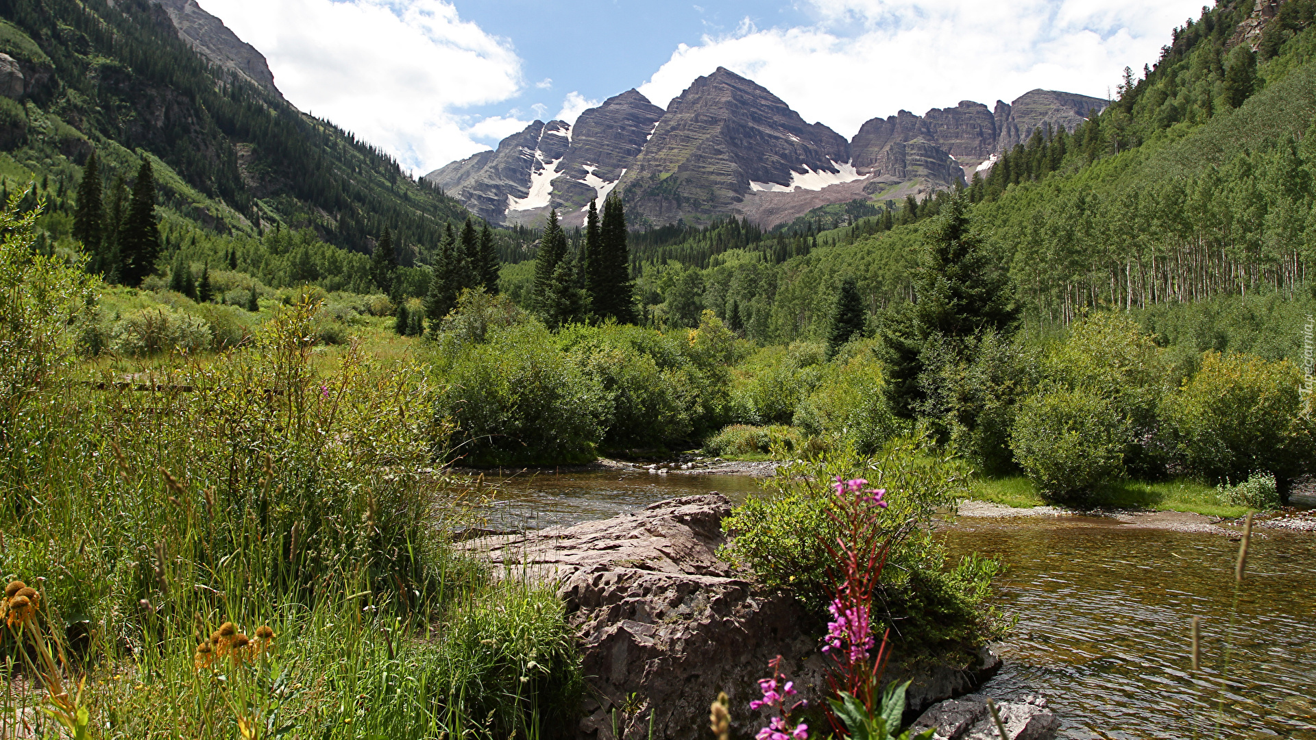 Góry Skaliste, Pasmo Elk Mountains, Szczyty Maroon Bells, Las White River National Forest, Krzewy, Rzeka White River, Kamienie, Roślinność, Stan Kolorado, Stany Zjednoczone