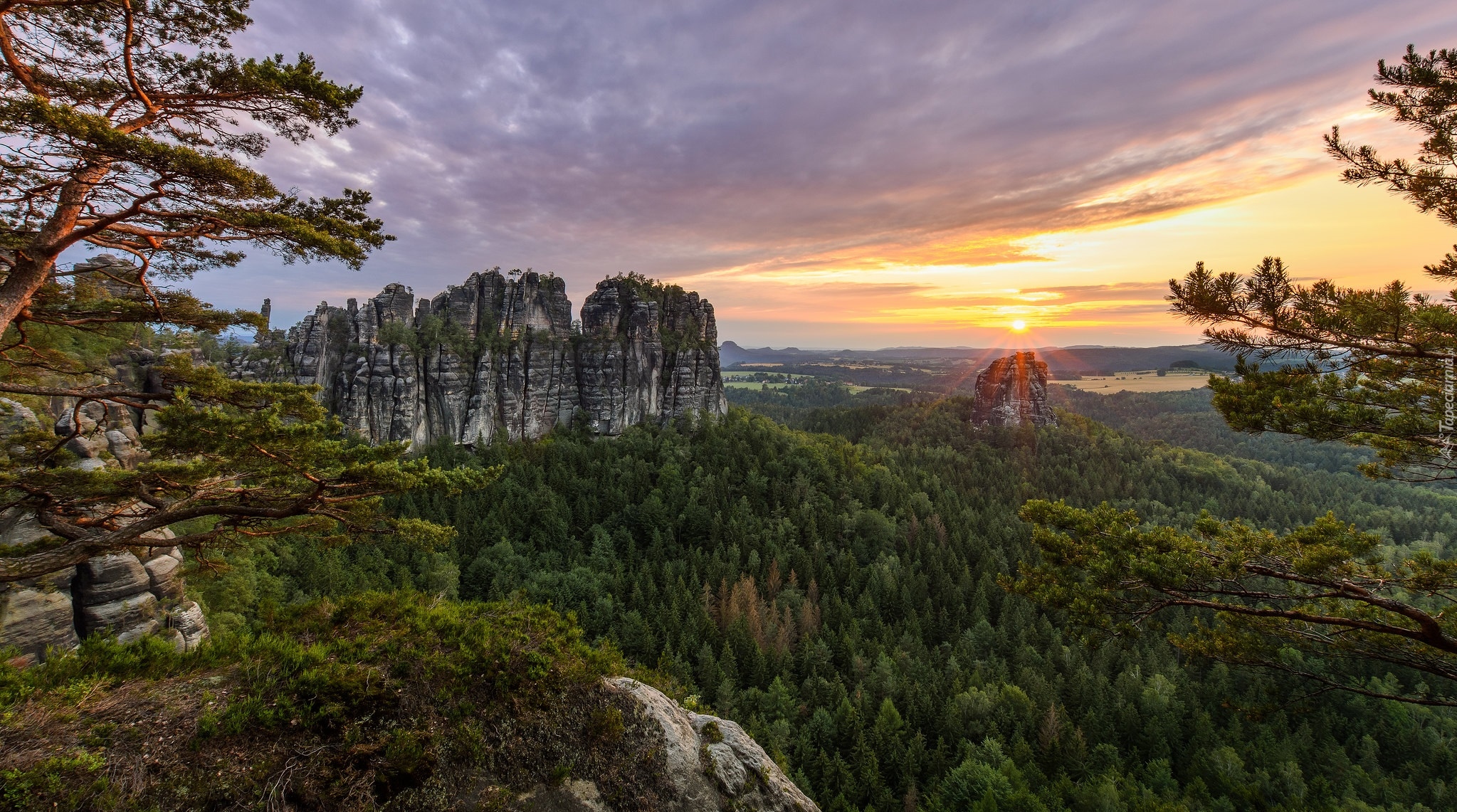 Niemcy, Park Narodowy Saskiej Szwajcarii, Skały, Formacja Bastei, Góry Połabskie, Lasy, Wschód słońca, Sosna