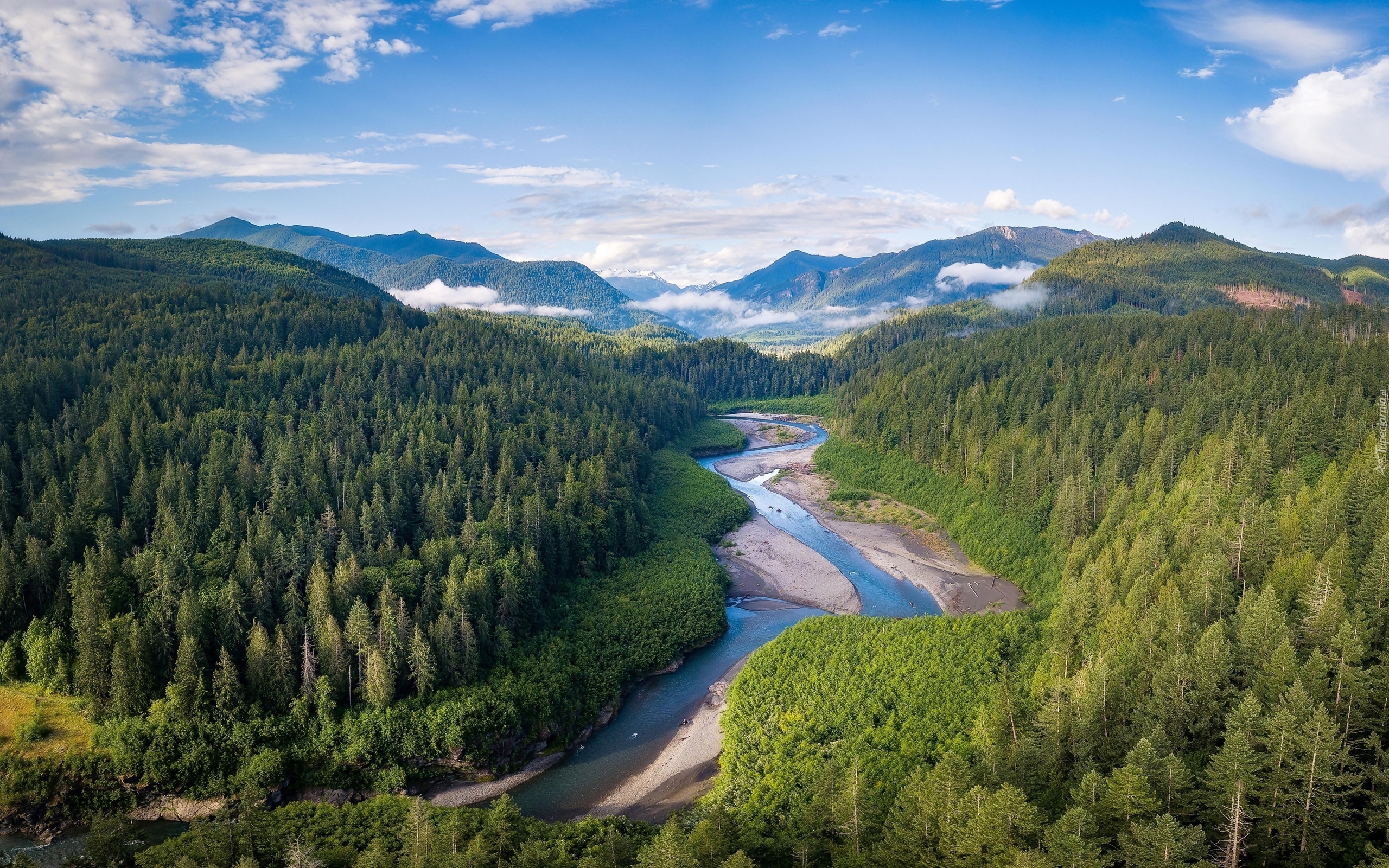 Stany Zjednoczone, Stan Waszyngton, Park Narodowy Olympic, Rzeka, Elwha River, Góry, Olympic Mountains, Lasy, Zielone, Drzewa