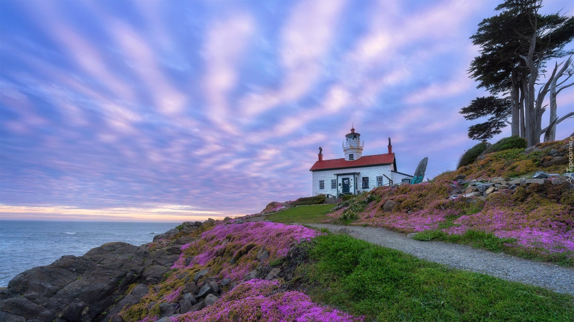 Morze, Latarnia morska, Battery Point Lighthouse, Droga, Drzewo, Kwiaty, Skały, Crescent City, Kalifornia, Stany Zjednoczone