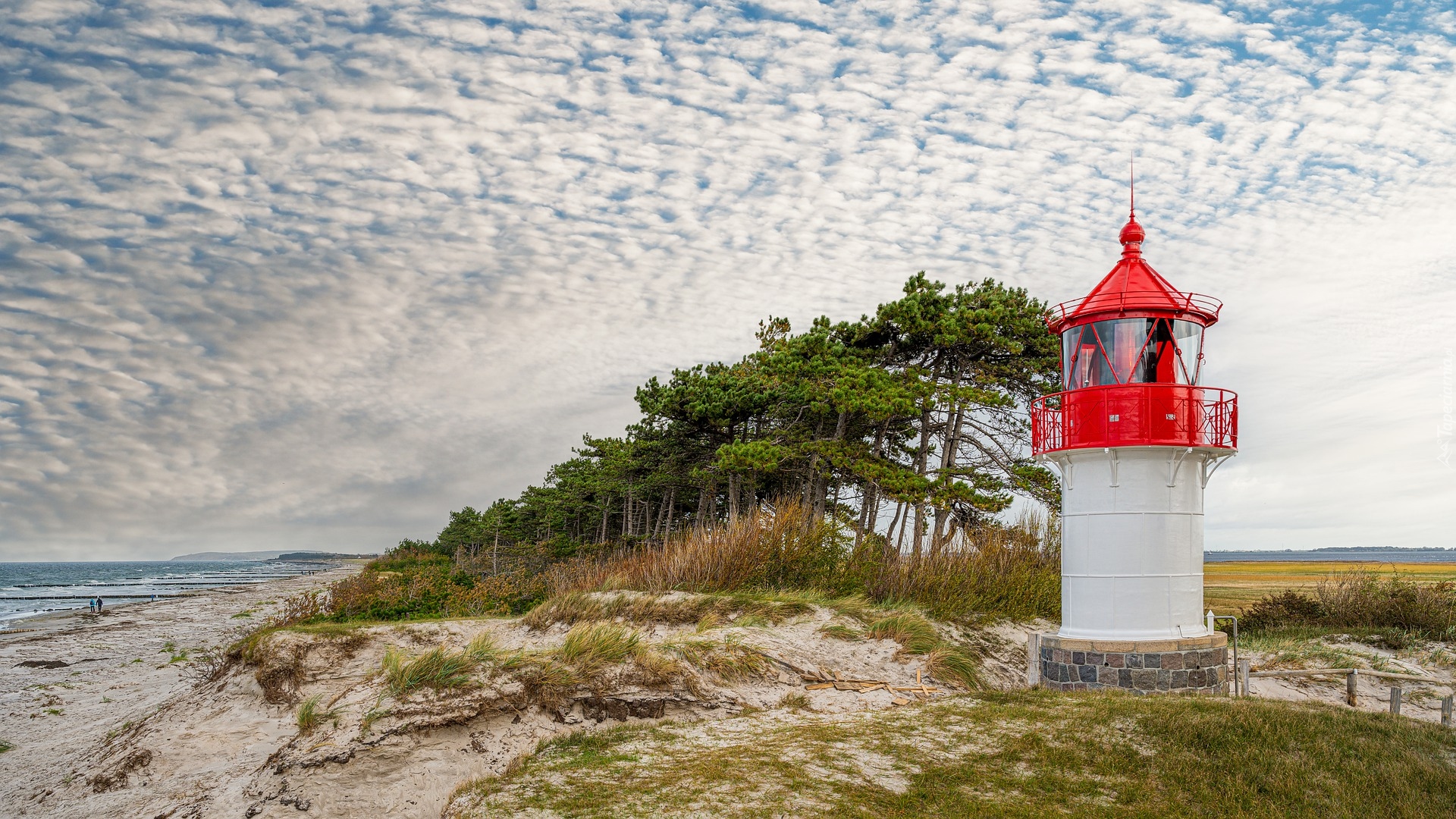 Latarnia morska Gellen, Drzewa, Morze Bałtyckie, Wyspa Hiddensee, Niemcy