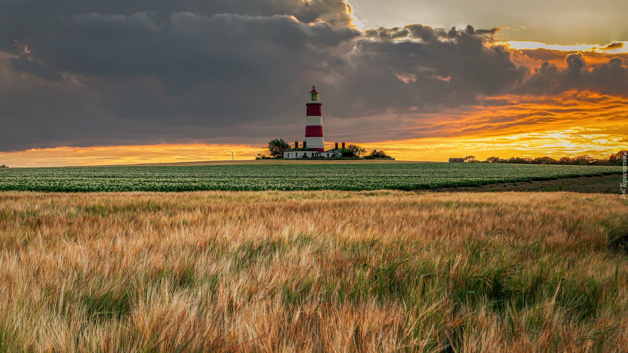 Latarnia morska, Happisburgh Lighthouse, Pole, Niebo, Chmury, Norfolk, Anglia