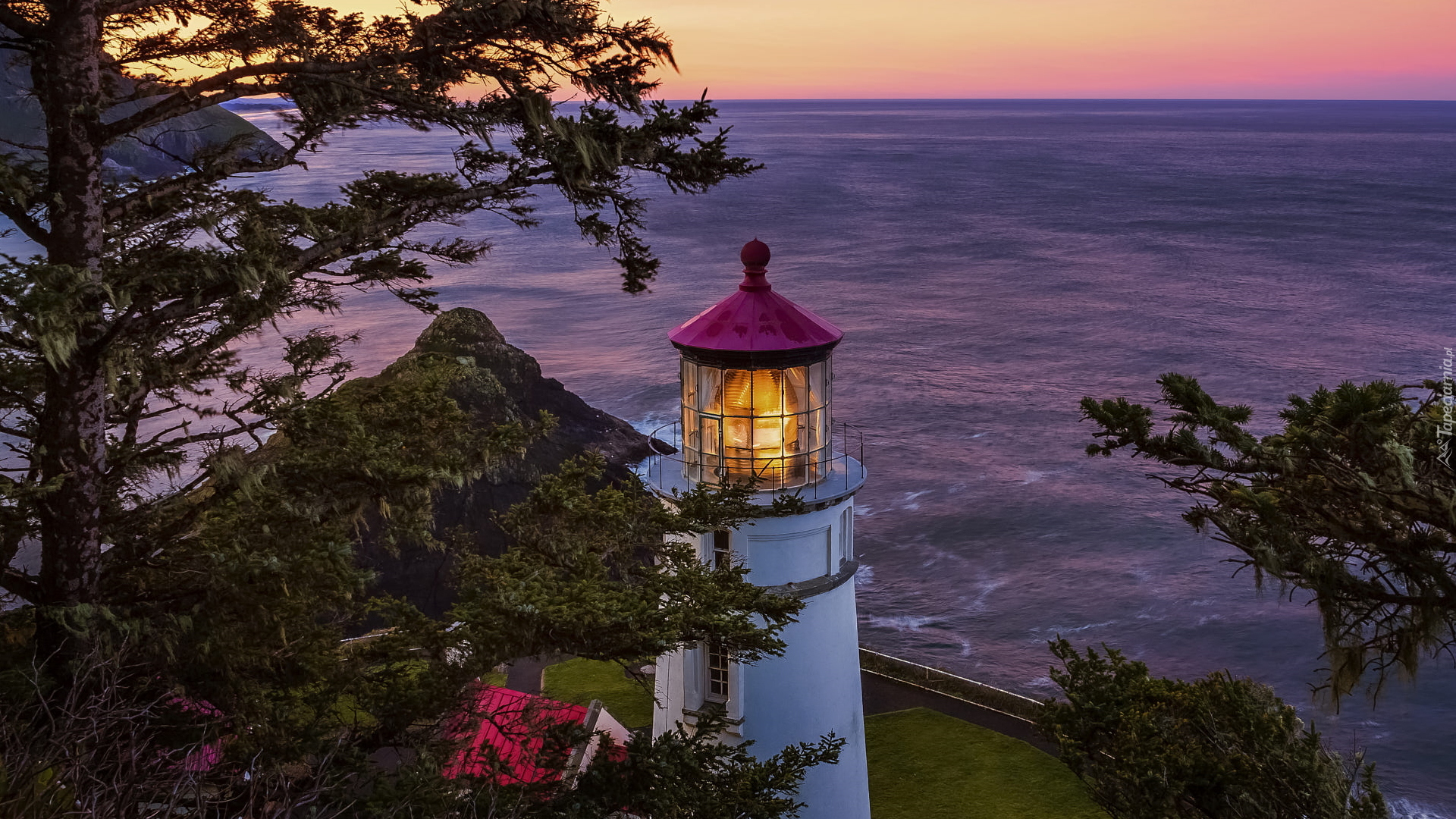 Latarnia morska, Heceta Head Lighthouse, Morze, Drzewa, Stan Oregon, Stany Zjednoczone