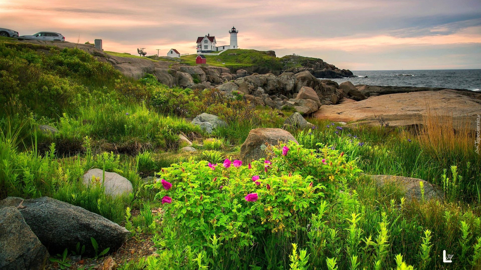 Morze, Wybrzeże, Latarnia morska, Nubble Lighthouse, Skały, Rośliny, Cape Neddick, Maine, Stany Zjednoczone