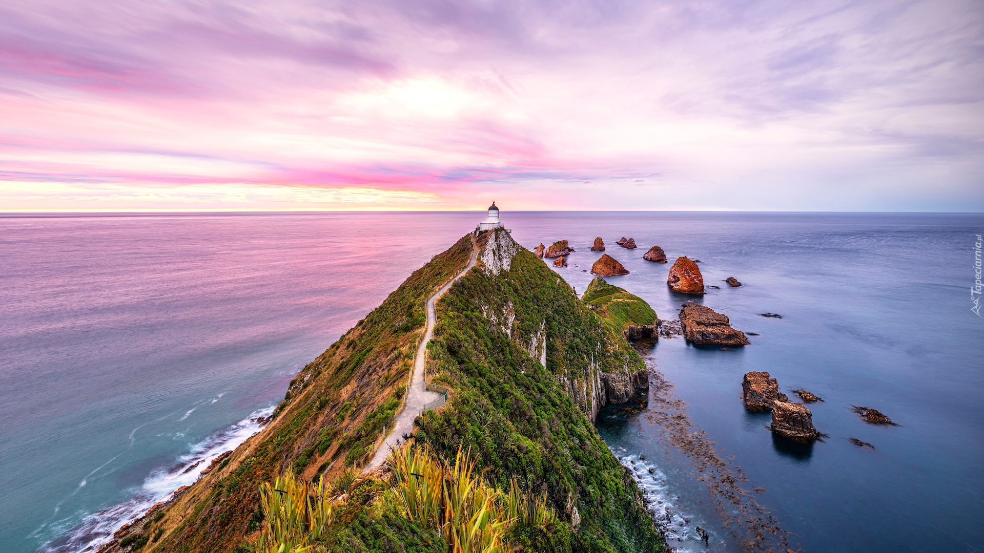 Morze, Latarnia morska, Nugget Point Lighthouse, Ścieżka, Skały, Otago, Nowa Zelandia