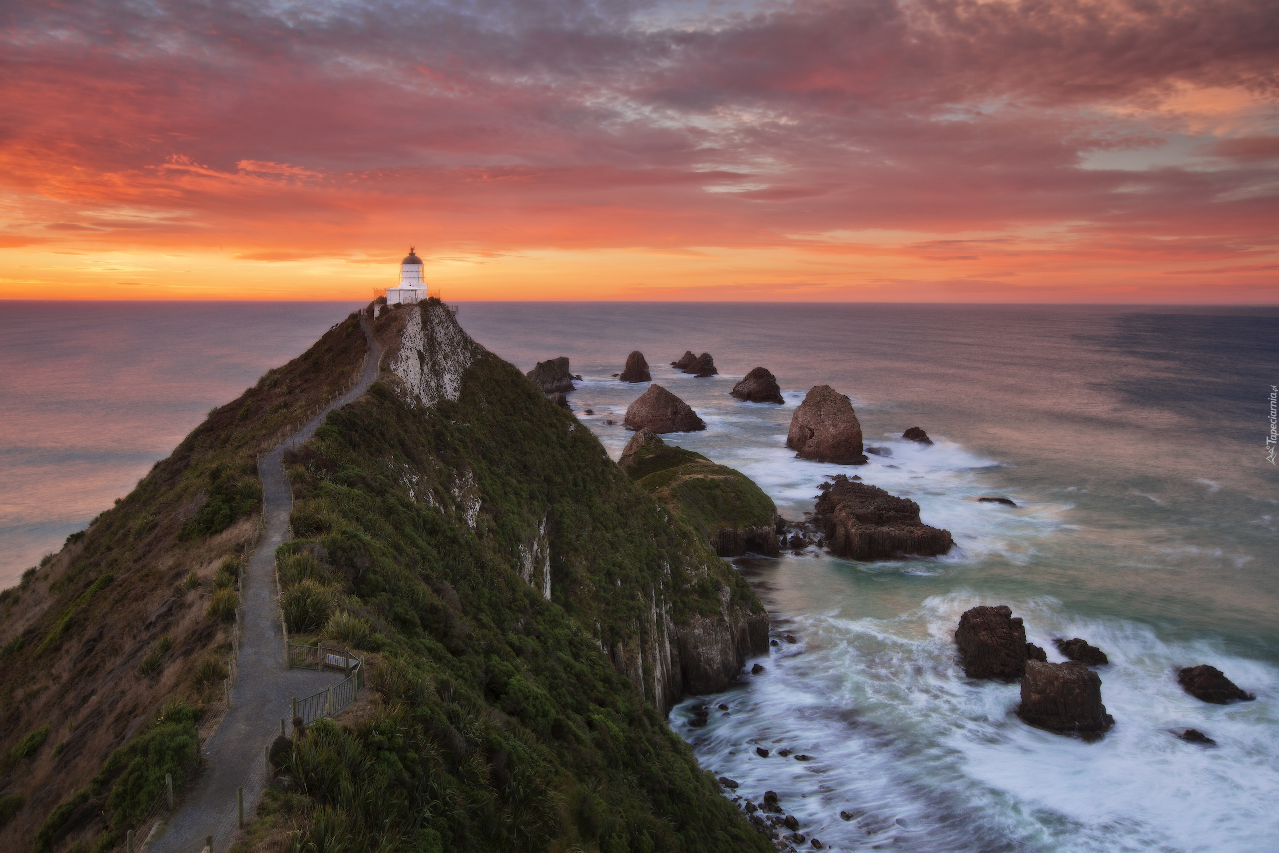 Wzgórze, Droga, Latarnia morska Nugget Point, Morze, Ocean Spokojny, Skały, Region Otago, Nowa Zelandia