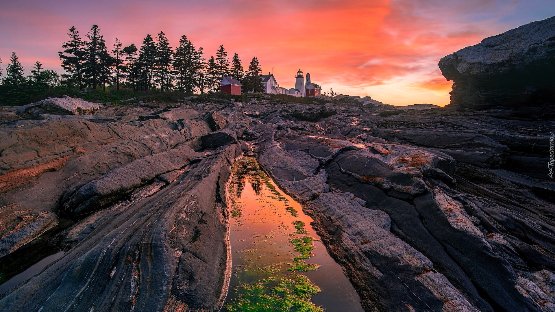 Skały, Latarnia morska, Pemaquid Point Lighthouse, Drzewa, Zachód słońca, Stan Maine, Stany Zjednoczone