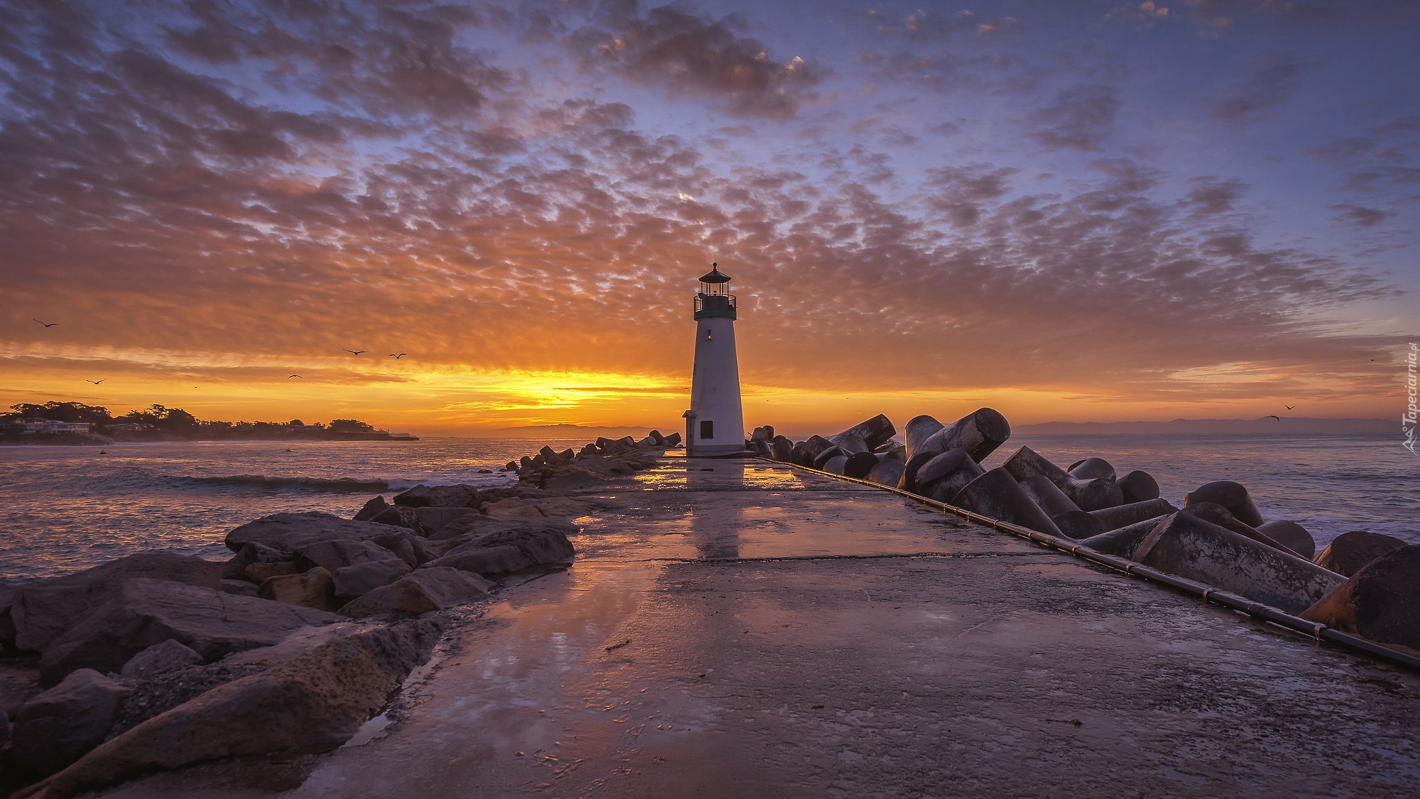 Morze, Latarnia morska Walton Lighthouse, Kamienie, Wschód słońca, Niebo, Chmury, Ptaki, Santa Cruz, Stan Kalifornia, Stany Zjednoczone