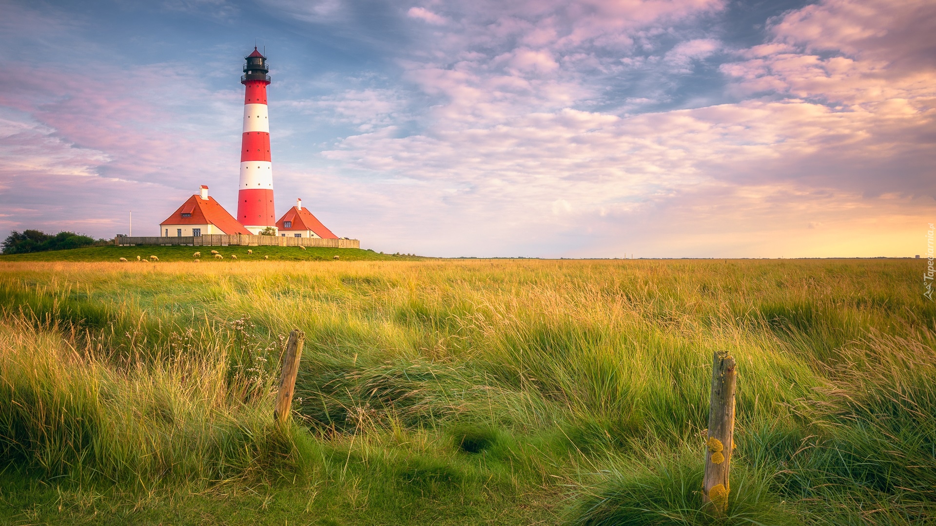 Latarnia morska Westerheversand, Łąka, Trawa, Chmury, Wschód słońca, Gmina Westerhever, Niemcy