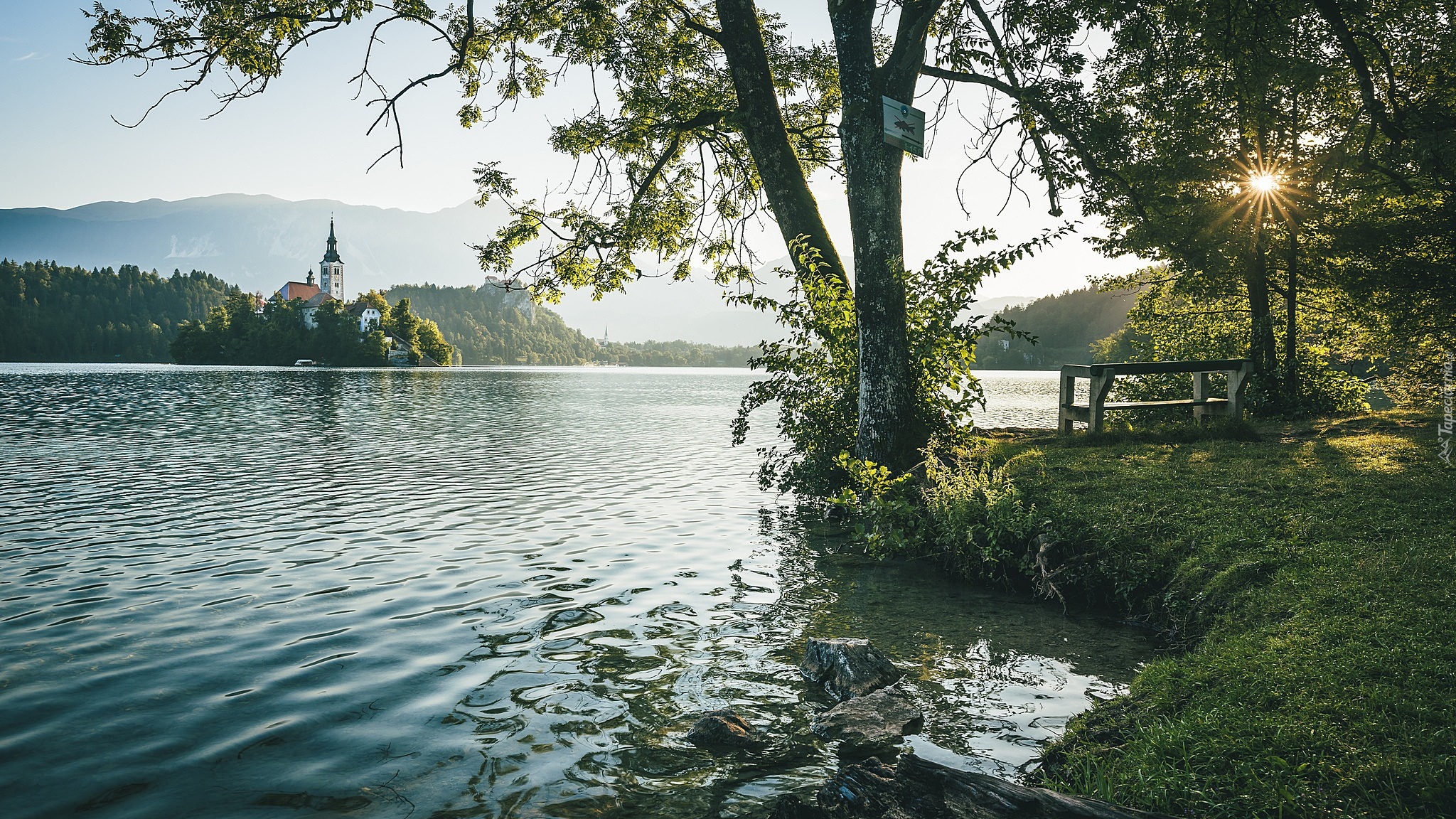 Słowenia, Wyspa Blejski Otok, Góry Alpy Julijskie, Jezioro Bled, Promienie słońca, Drzewa, Kościół Zwiastowania Marii Panny, Ławka