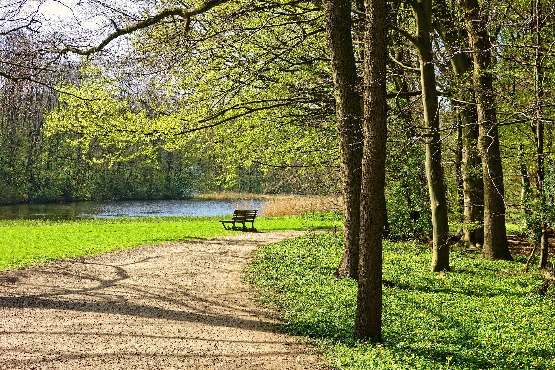 Wiosna, Park, Ławka, Drzewa, Ścieżka, Staw