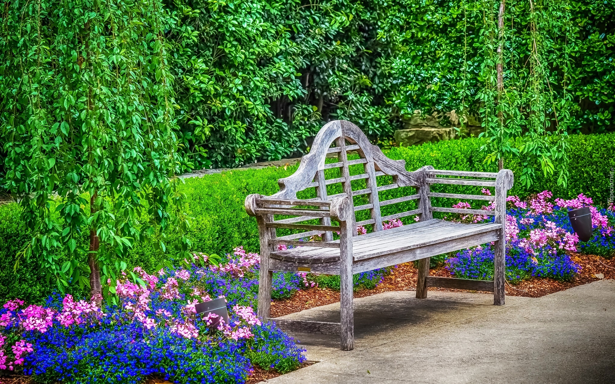 Stany Zjednoczone, Stan Teksas, Dallas, Ogród Botaniczny w Dallas,  Dallas Arboretum and Botanical Garden, Park, Ławka, Kwiaty, HDR