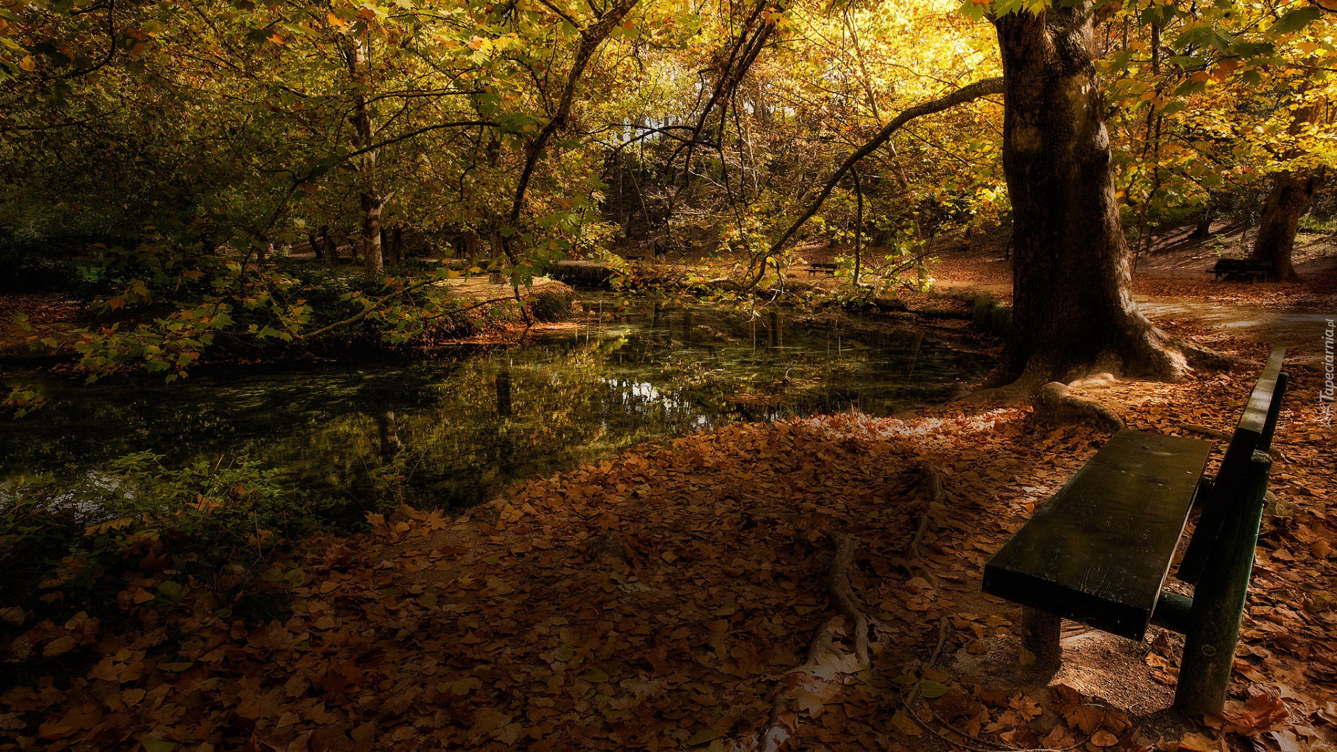 Jesień, Park, Ławka, Drzewa, Staw