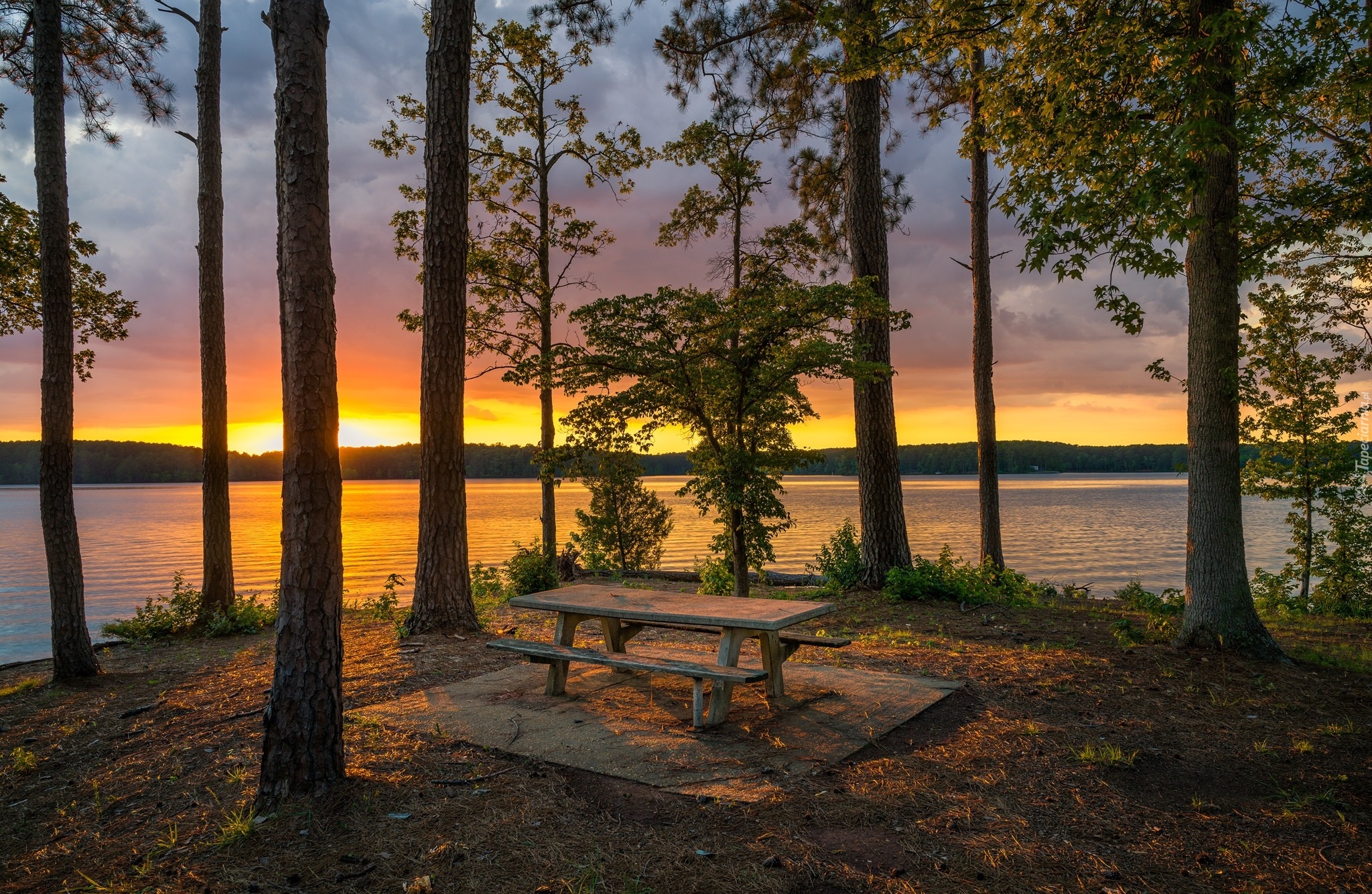 Stany Zjednoczone, Stan Georgia, Ławka, Drzewa, Jezioro West Point Lake, Zachód słońca