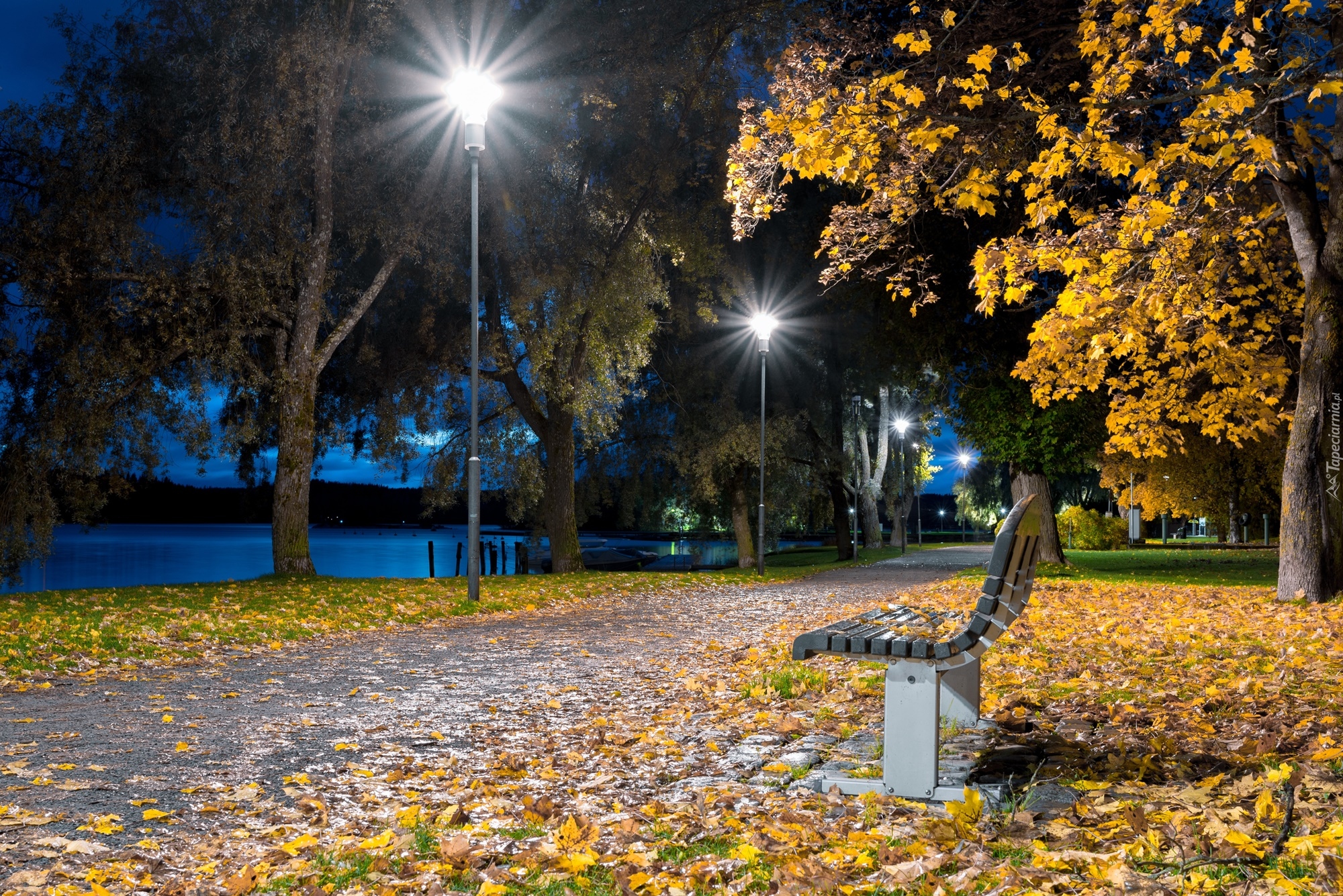 Park, Ławka, Latarnie, Wieczór, Jezioro, Jesień