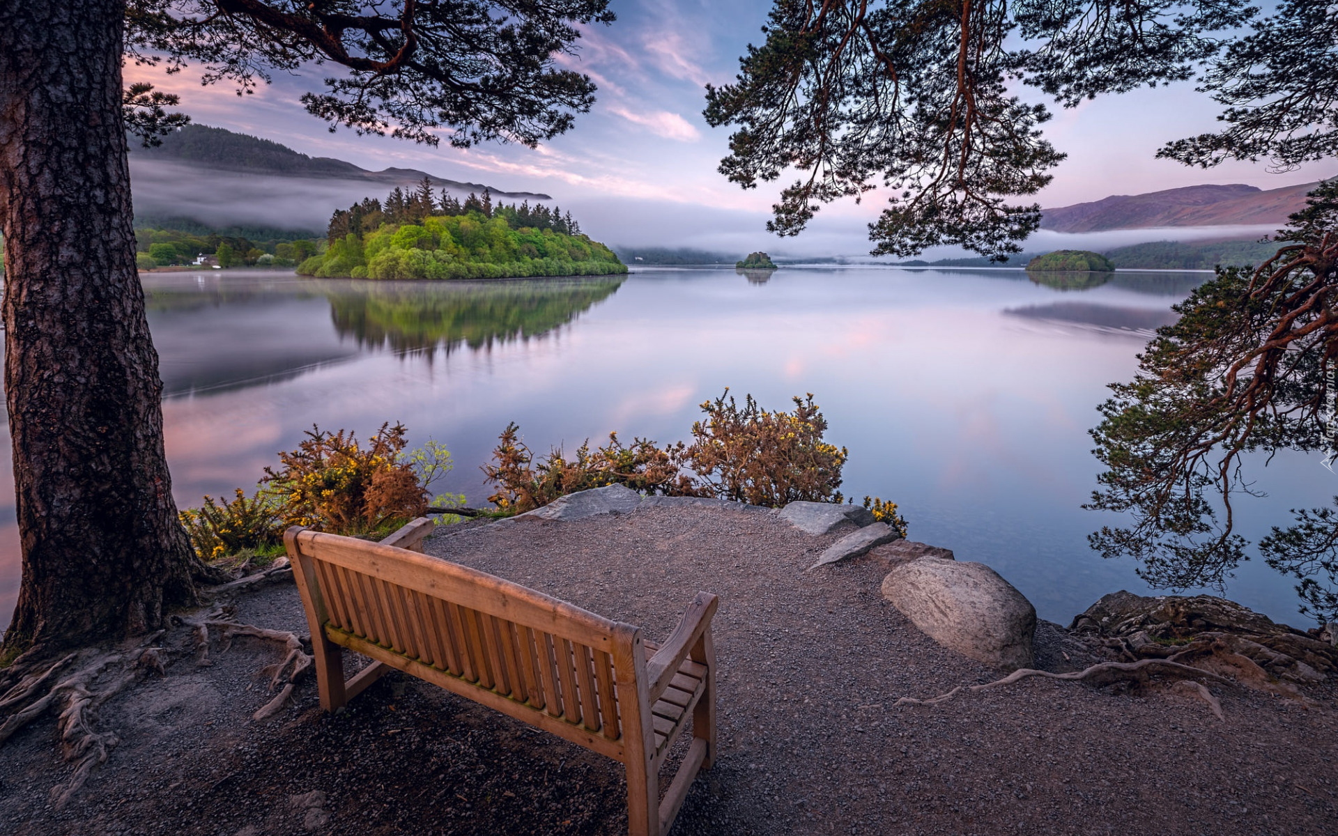 Jezioro, Wysepka, Drzewo, Ławka, Park Narodowy Lake District, Kumbria, Anglia