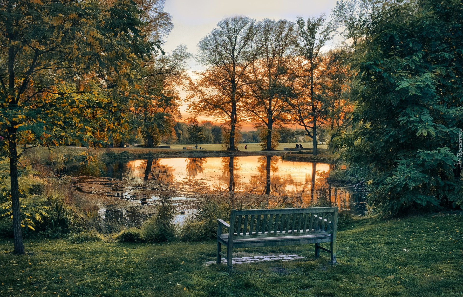 Park, Staw, Ławka, Drzewa, Zachód słońca