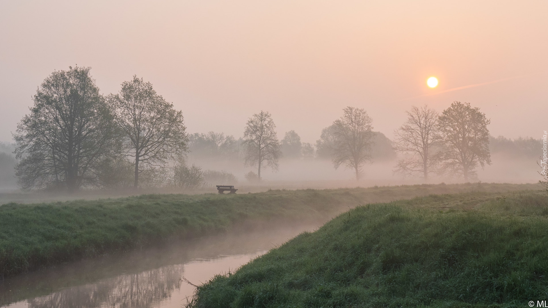 Rzeka, Wschód słońca, Mgła, Drzewa, Ławka