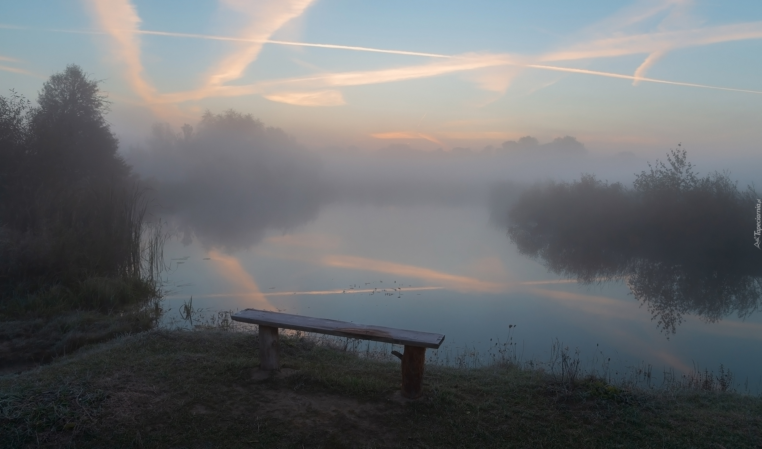 Jezioro, Mgła, Drzewa, Ławka