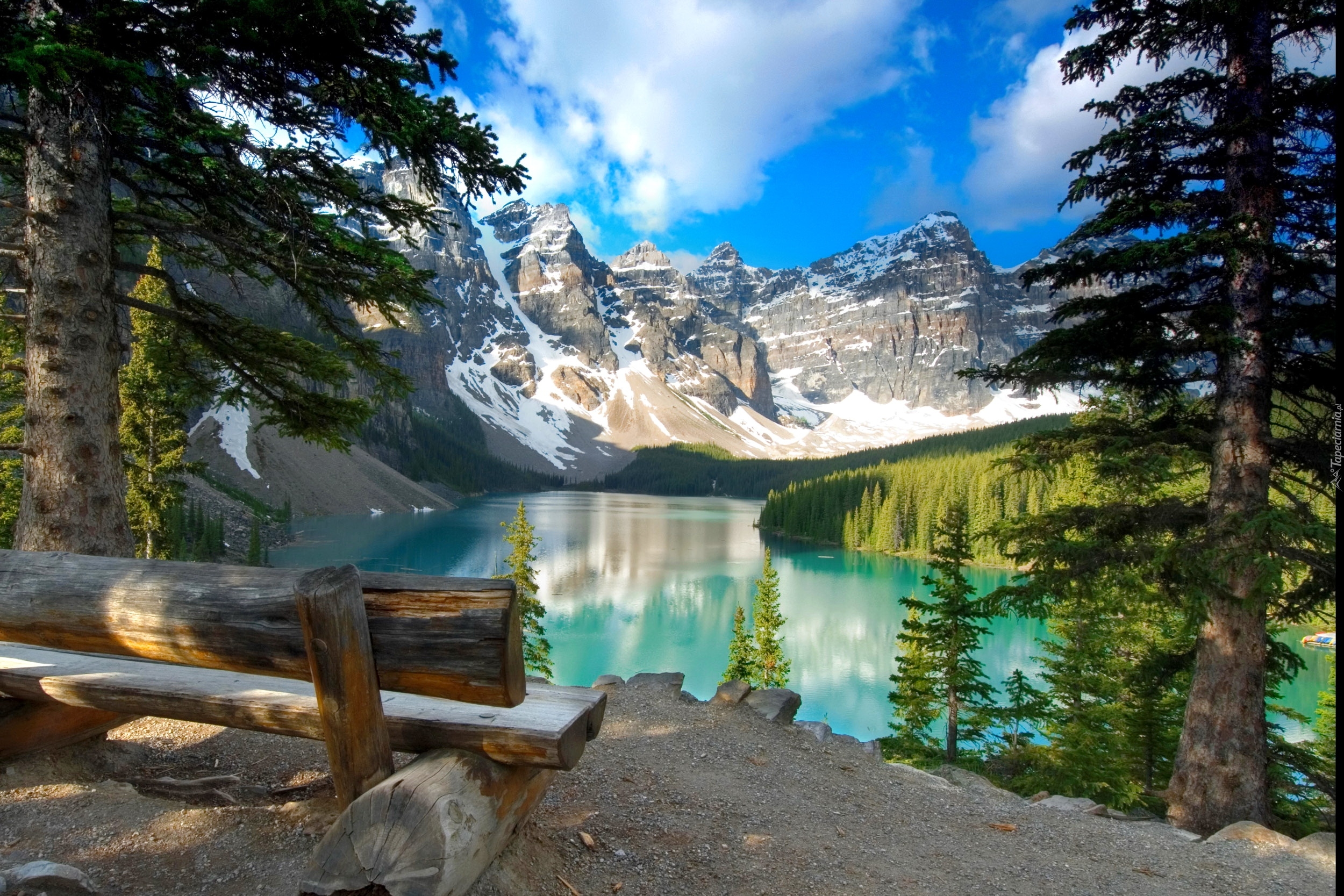 Kanada, Park Narodowy Banff, Góry, Jezioro Moraine, Ławka, Drzewa