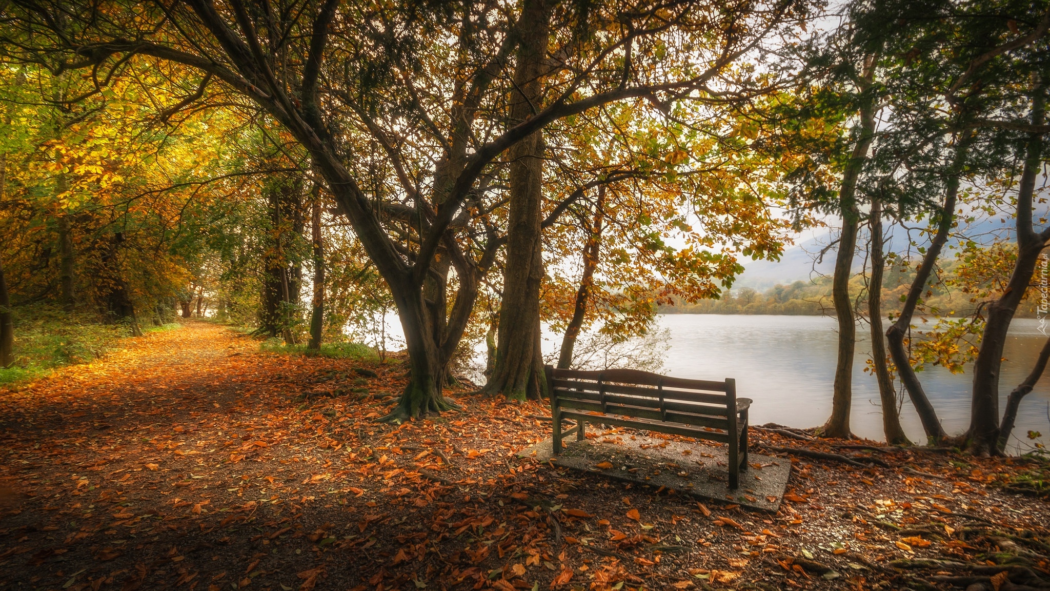 Wielka Brytania, Anglia, Kumbria, Lake District, Park, Ścieżka, Drzewa, Ławka, Jezioro Coniston Water, Jesień