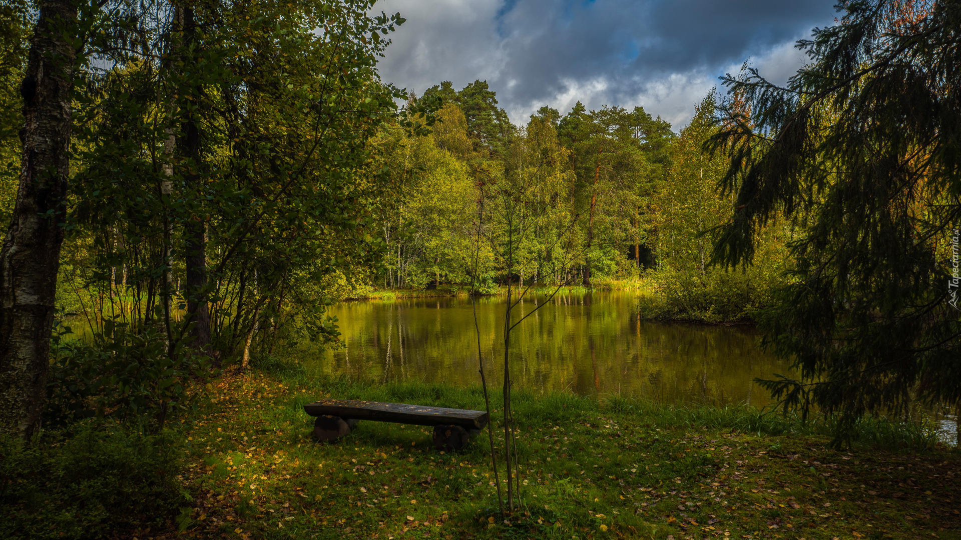 Staw, Ławka, Drzewa, Chmury