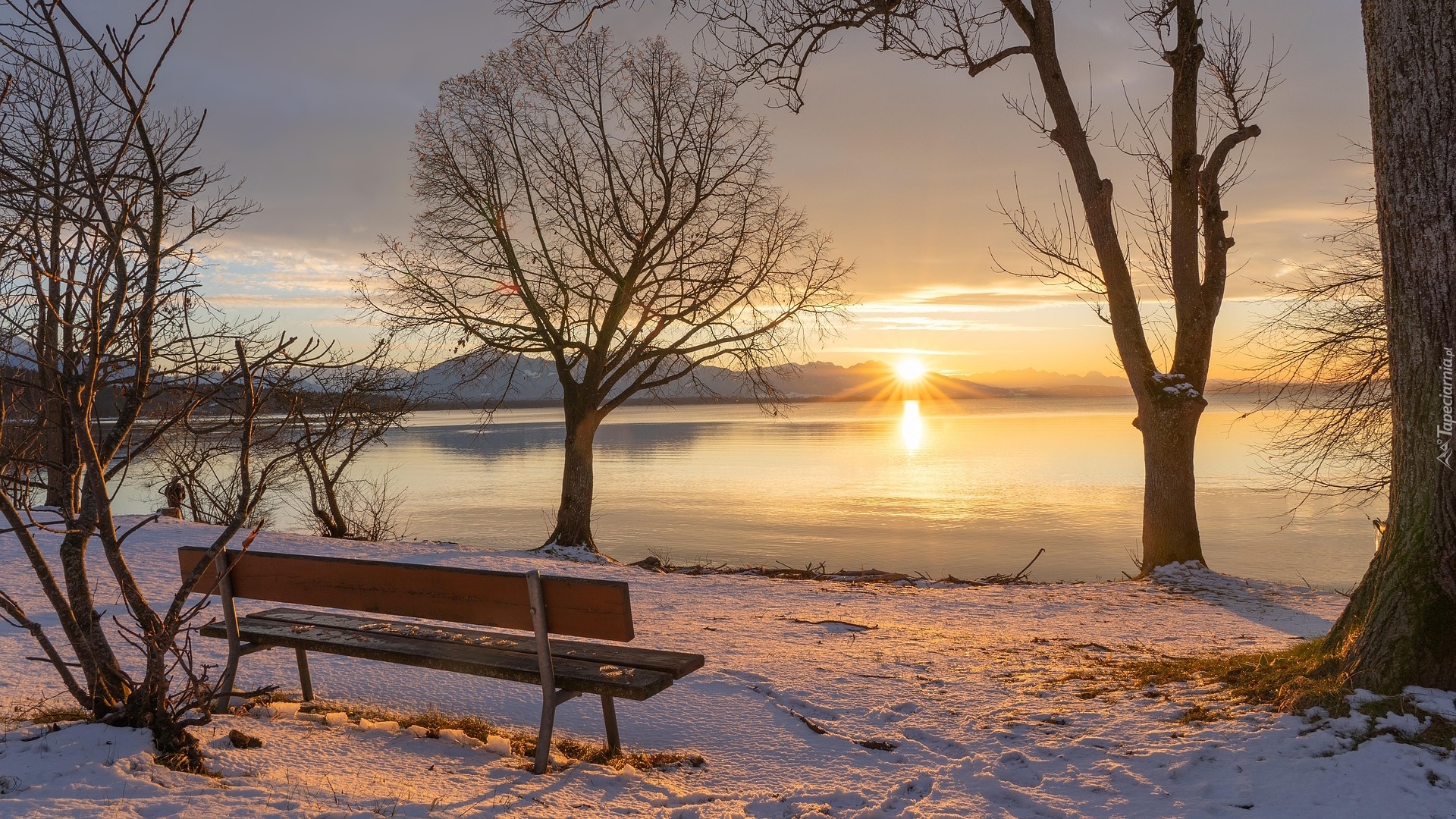 Zima, Jezioro, Zachód słońca, Drzewa, Ławka