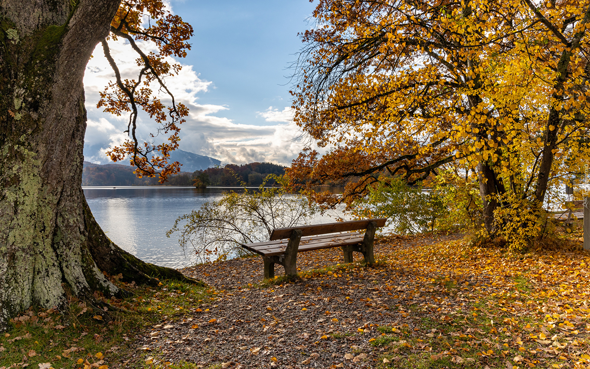 Jesień, Drzewa, Ławka, Jezioro Staffelsee, Bawaria, Niemcy