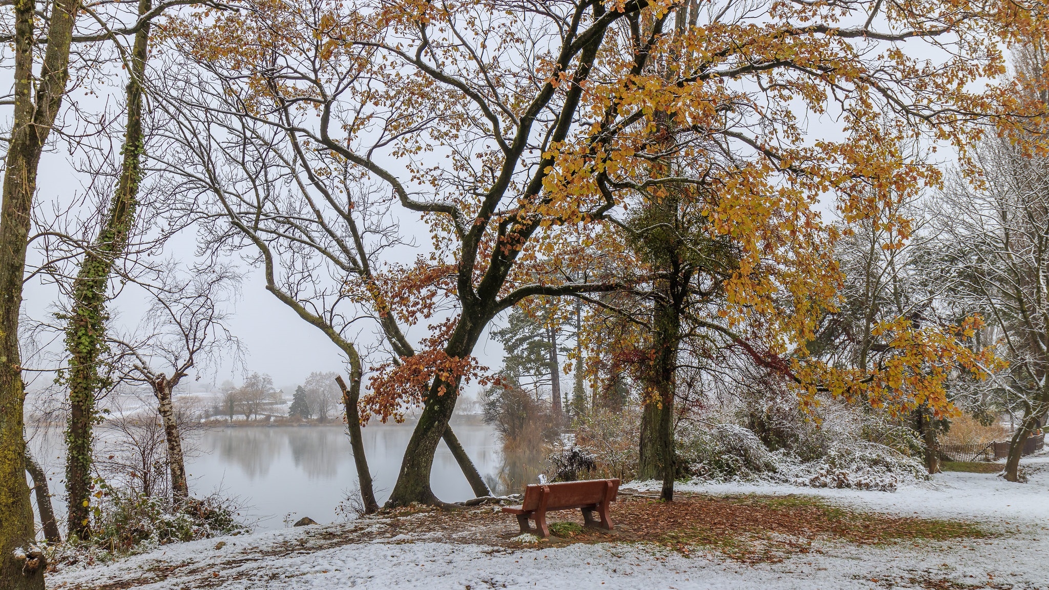 Jesień, Staw, Park, Ławka, Śnieg