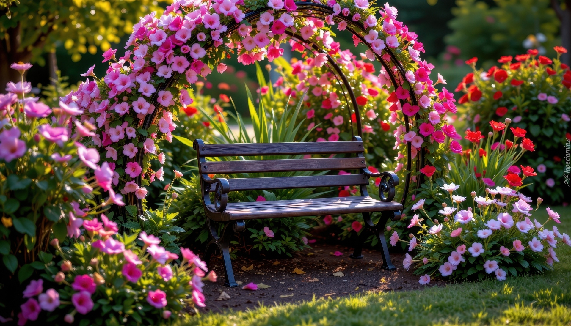 Ławka, Kolorowe, Kwiaty, Ogród