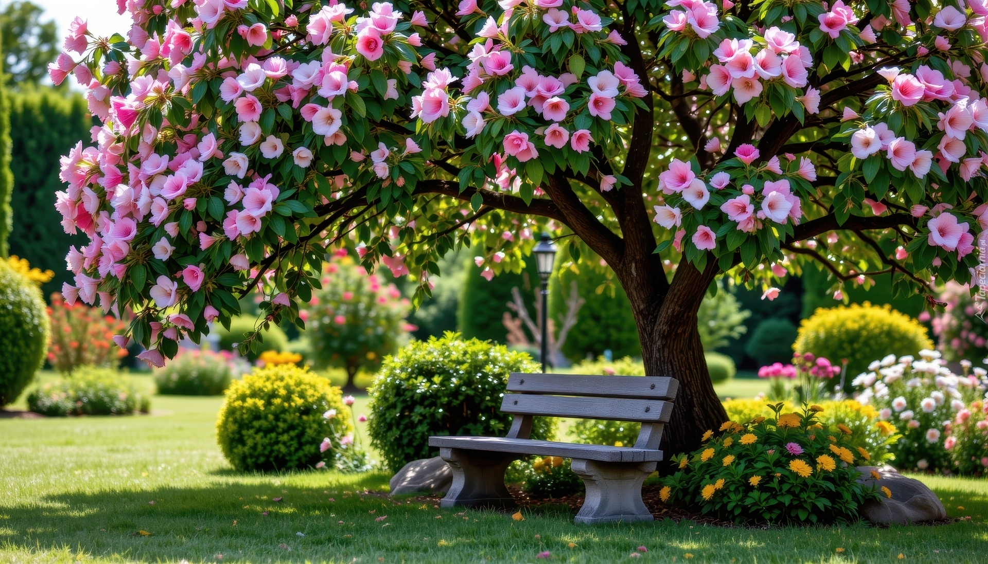 Park, Drzewa, Kwiaty, Ławka, Klomby