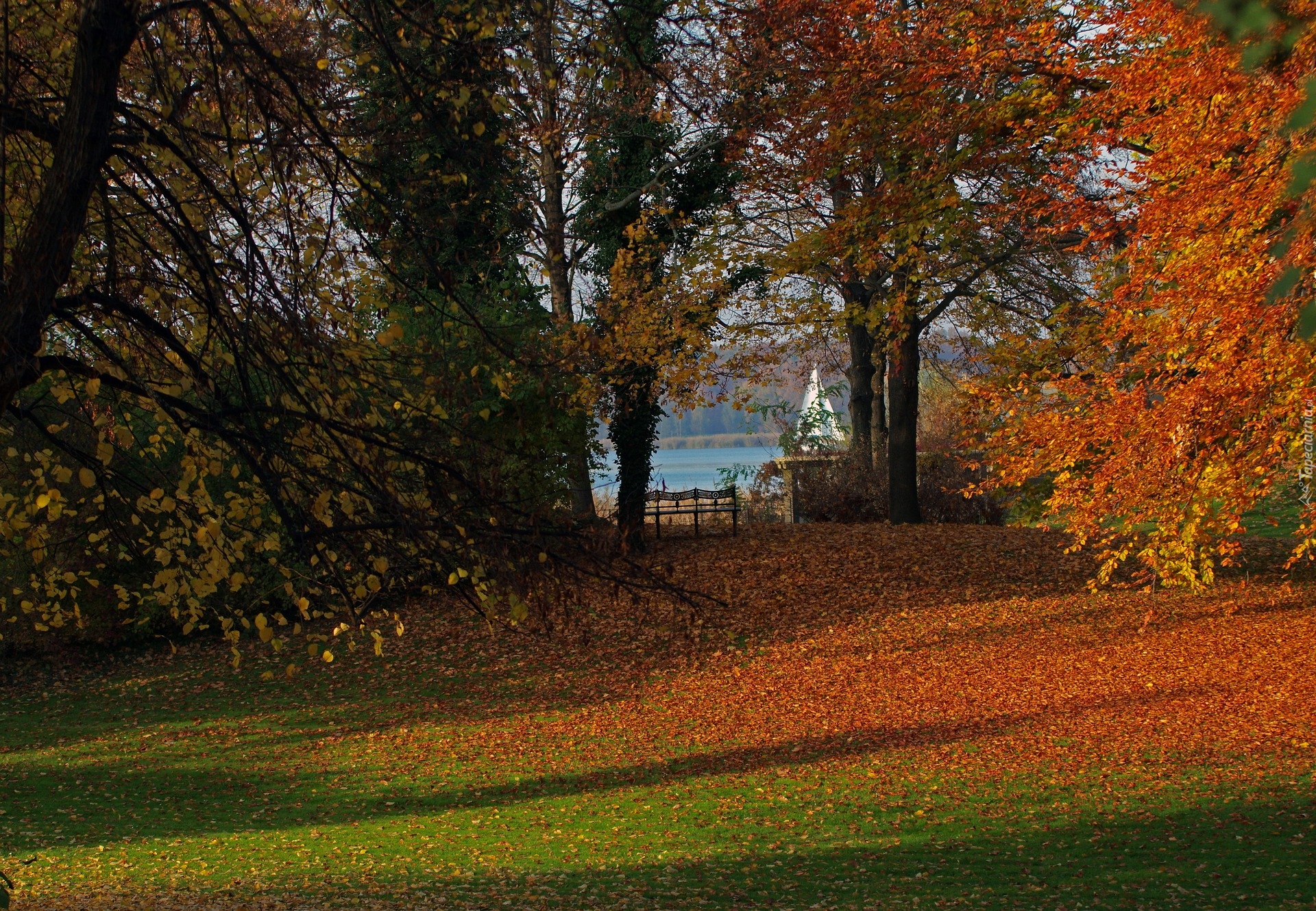 Park, Jesień, Drzewa, Liście, Ławka