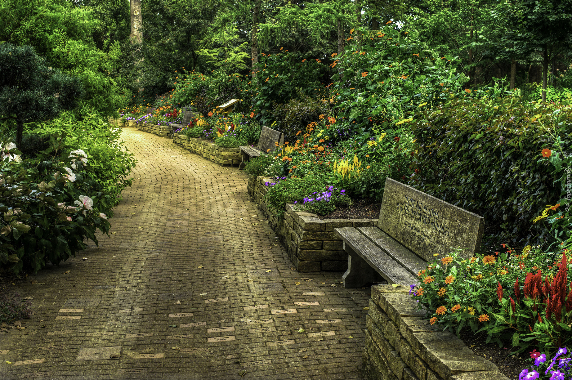 Stany Zjednoczone, Stan Wisconsin, Janesville, Ogród botaniczny Rotary Botanical Gardens, Alejka, Ławki, Krzewy, Kwiaty, Drzewa