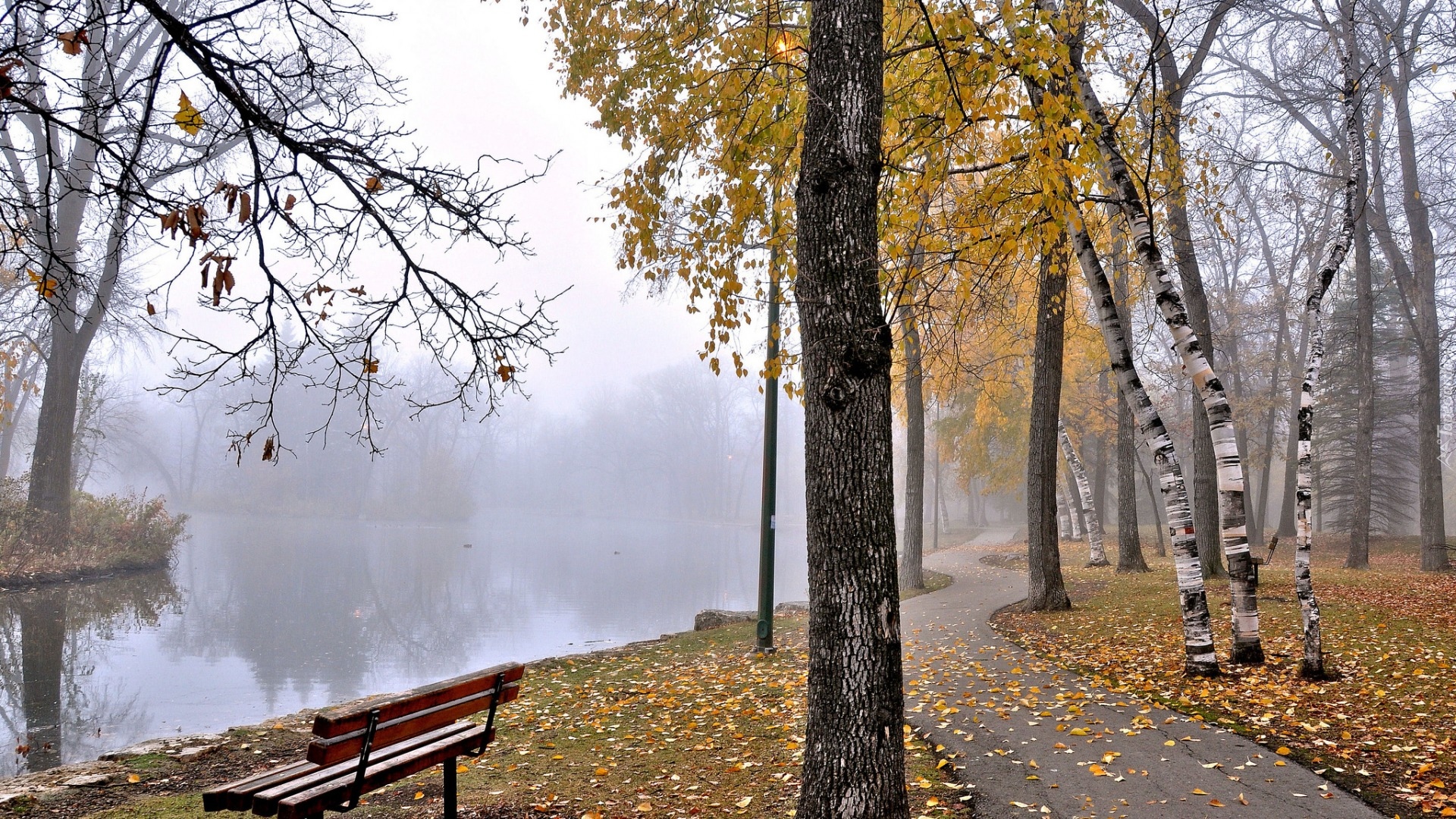 Jesień, Park, Drzewa, Mgła, Ławka, Staw