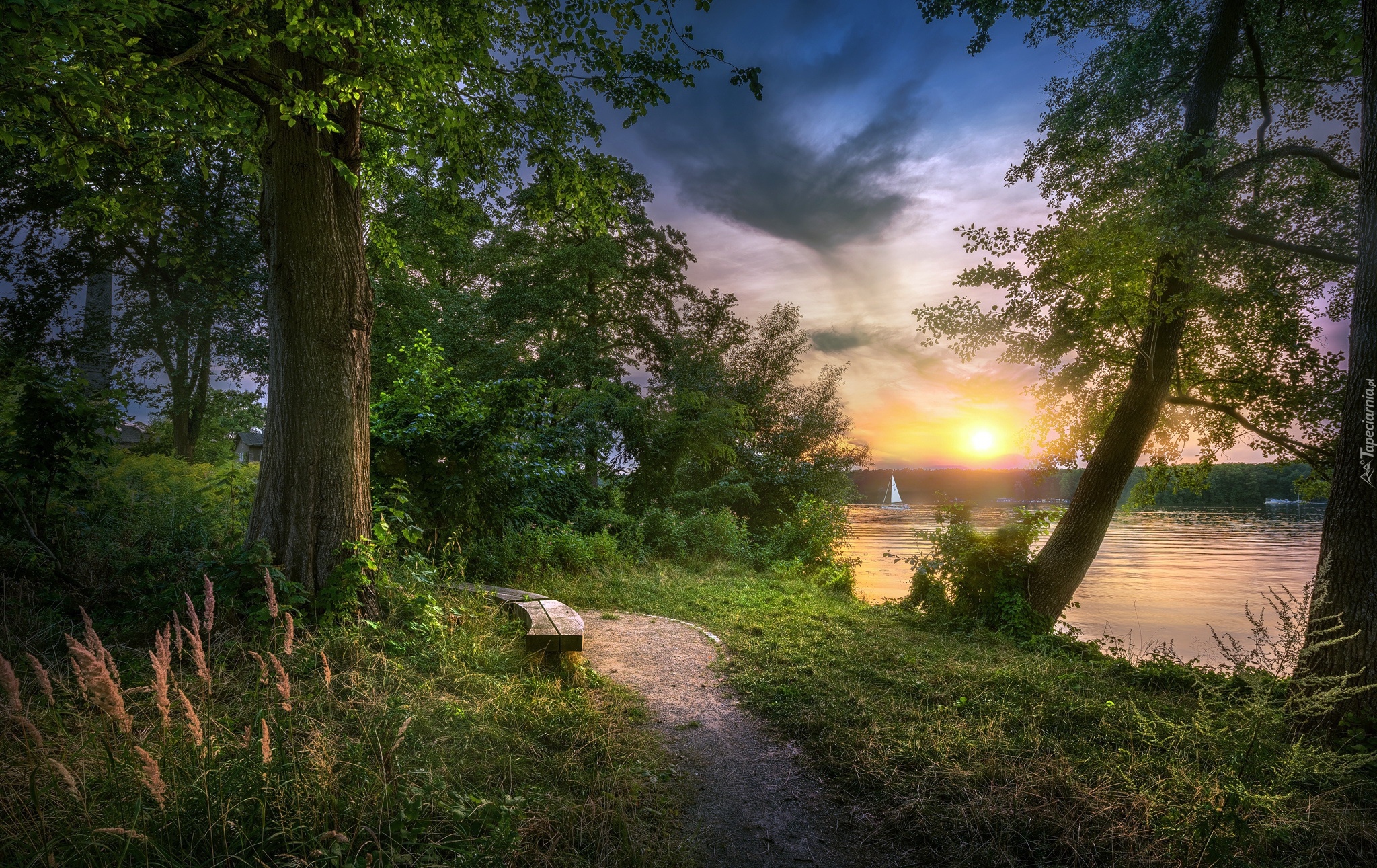 Park, Jezioro, Drzewa, Ławka, Ścieżka, Wschód słońca, Chmury, Żaglówka