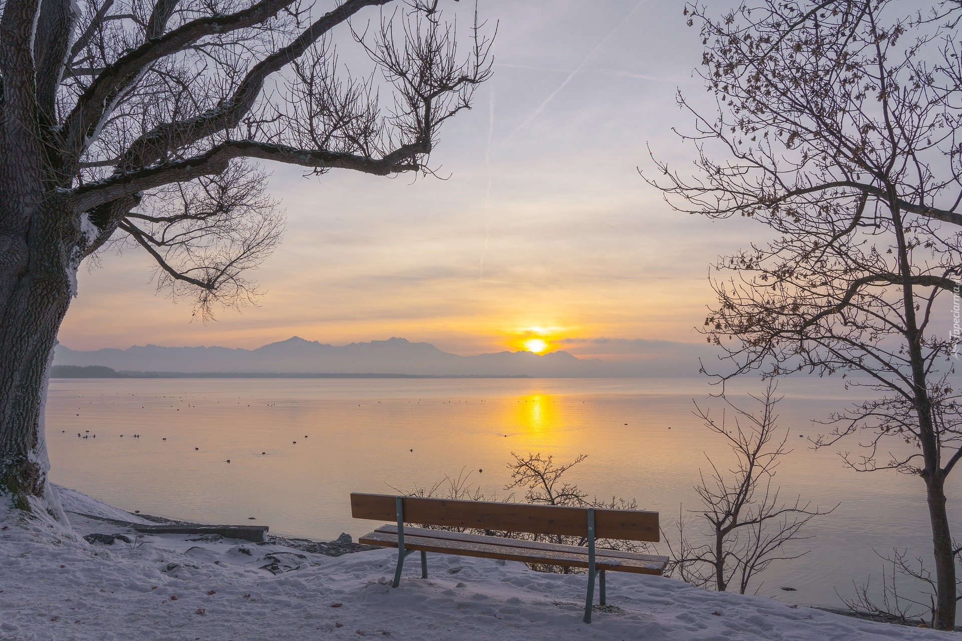 Zima, Ławka, Jezioro, Drzewo, Zachód słońca