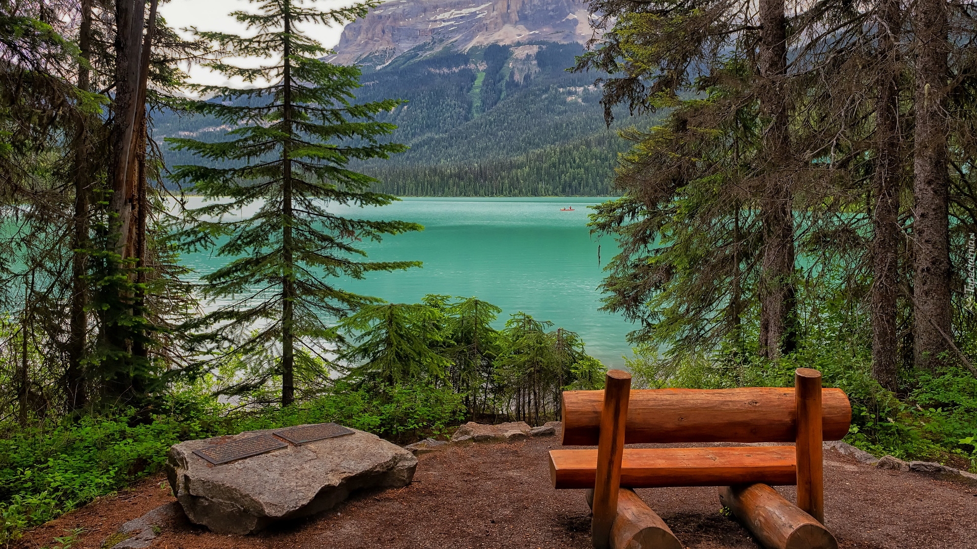 Jezioro, Emerald Lake, Drzewa, Góry, Ławka, Park Narodowy Yoho, Kolombia Brytjska, Kanada