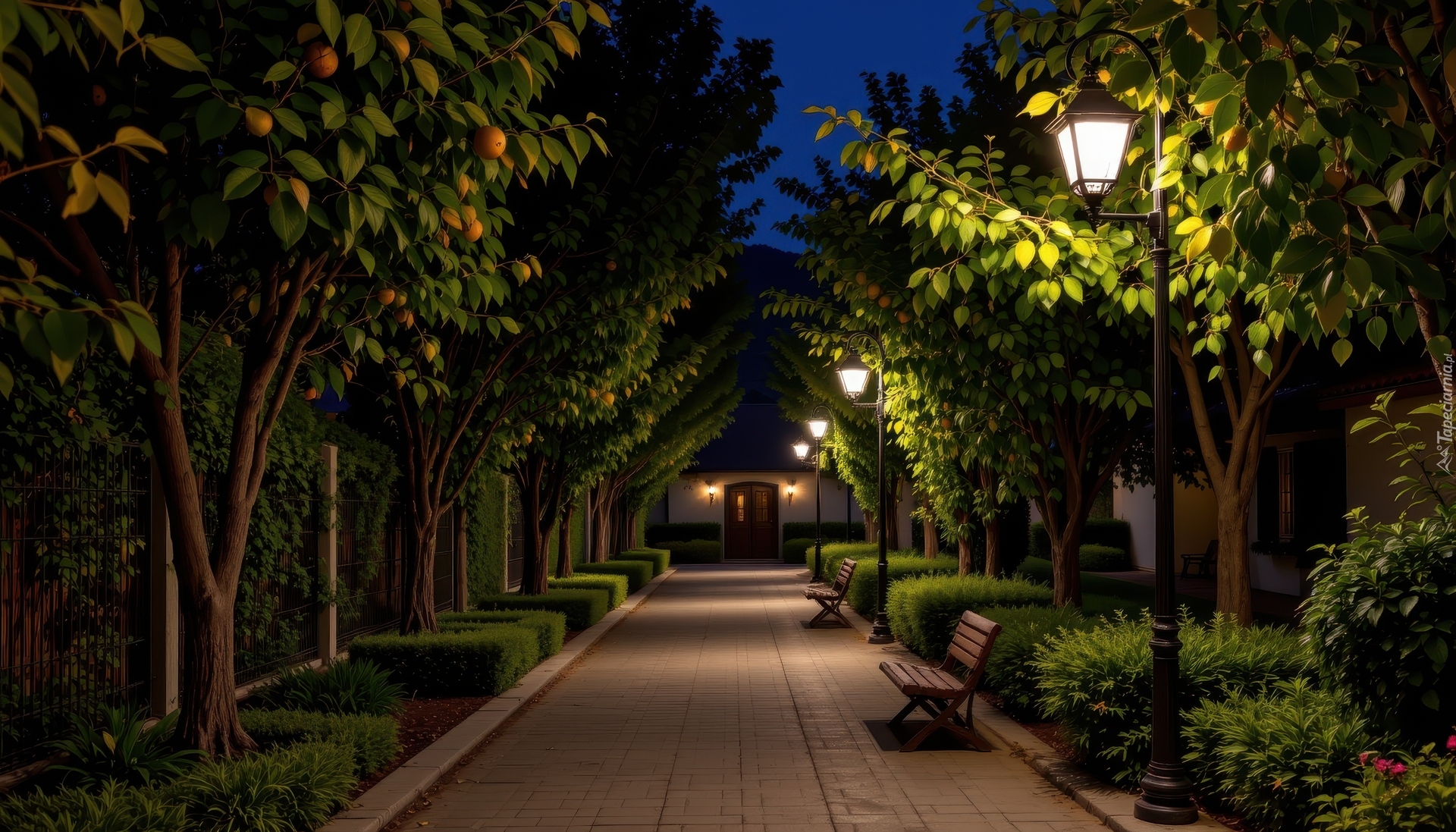 Drzewa owocowe, Ławki, Latarnie, Aleja