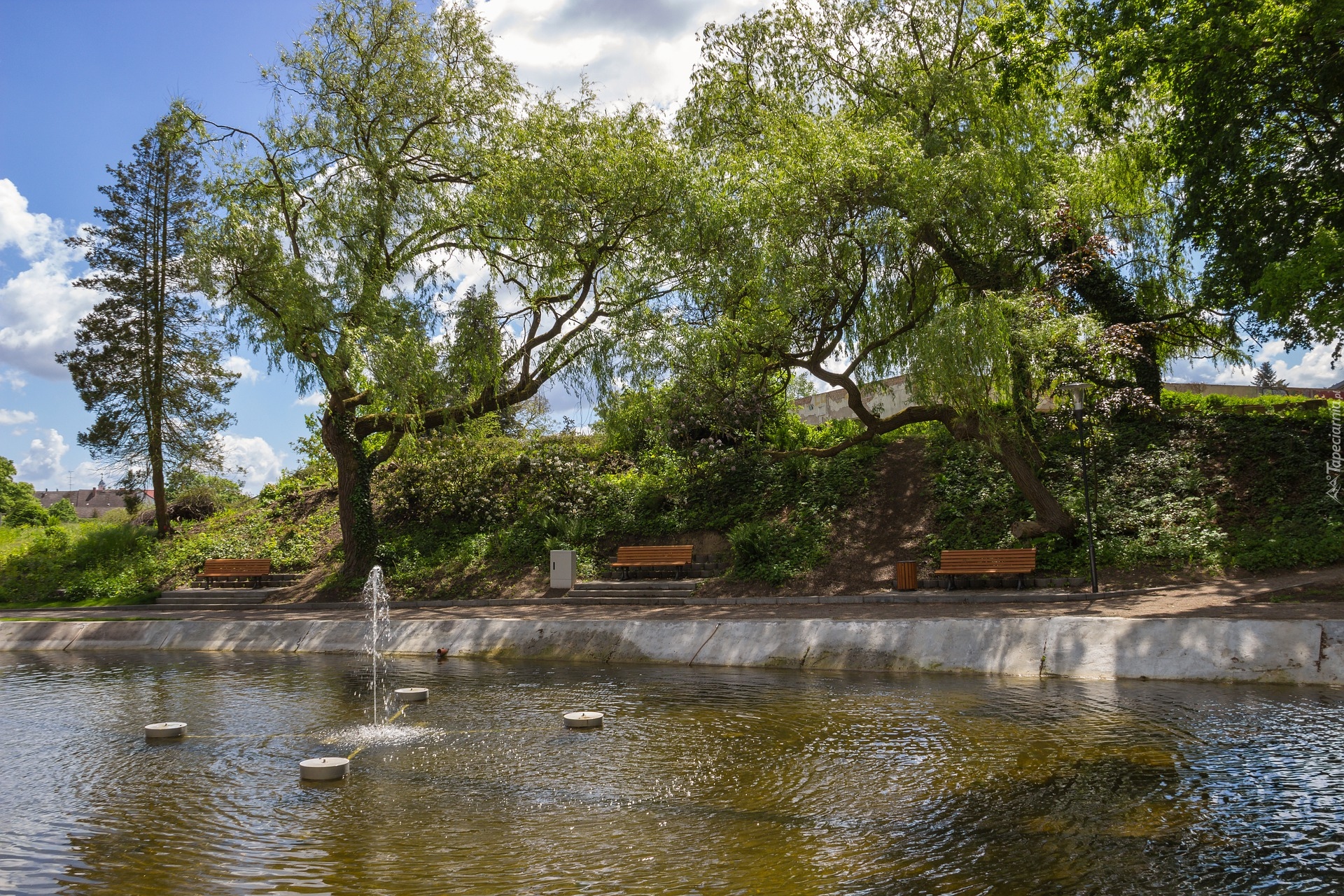 Park, Fontanna, Ławki, Drzewa