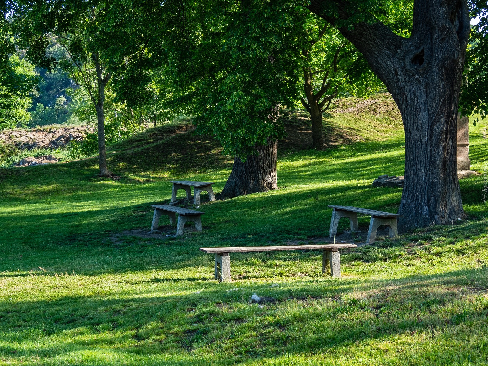 Ławki, Drzewa, Trawa, Park