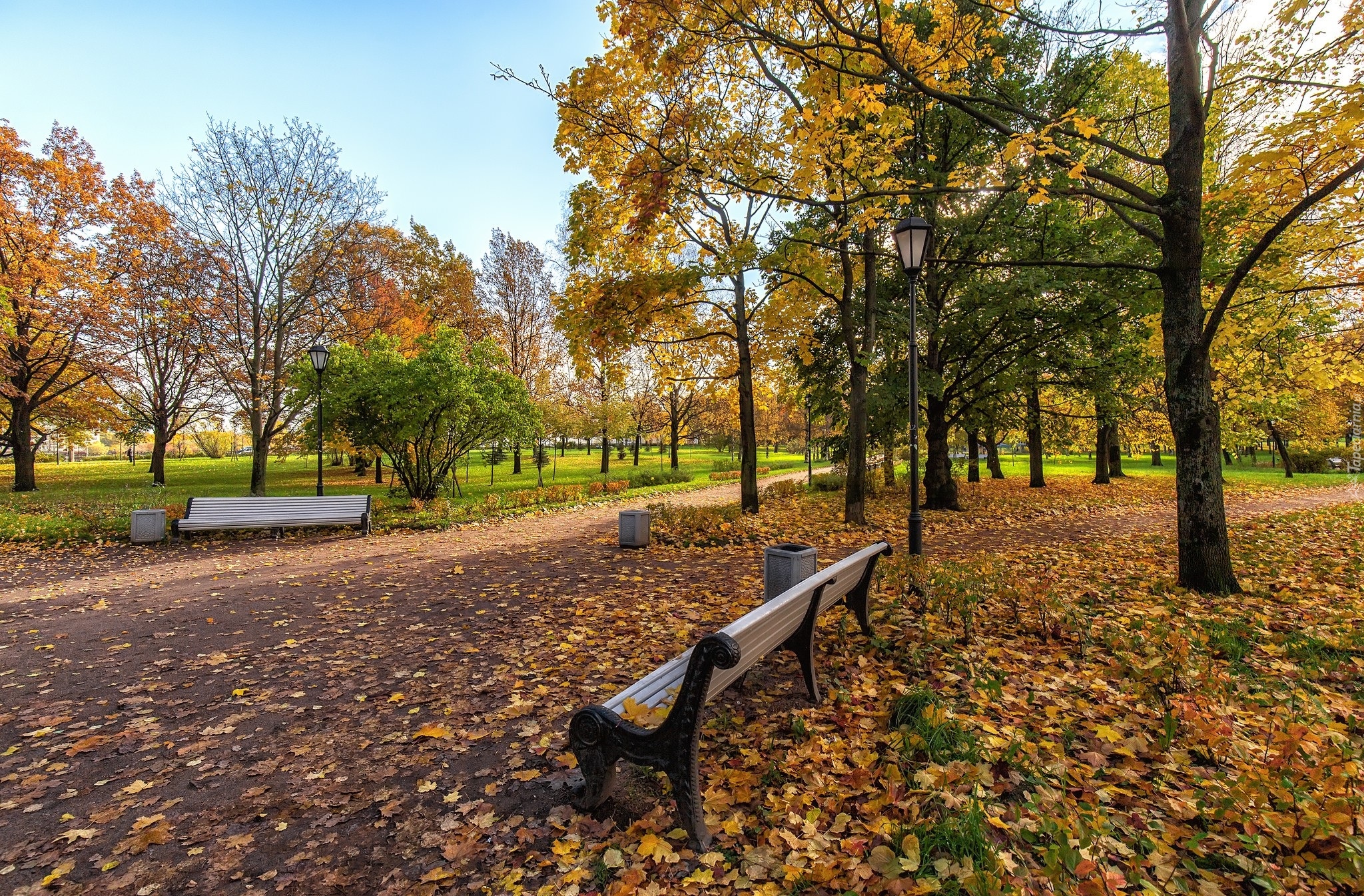 Jesień, Park, Drzewa, Alejka, Ławki