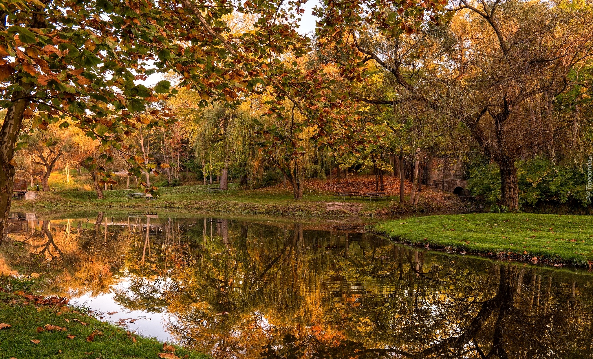 Jesień, Park, Drzewa, Staw, Ławki, Most