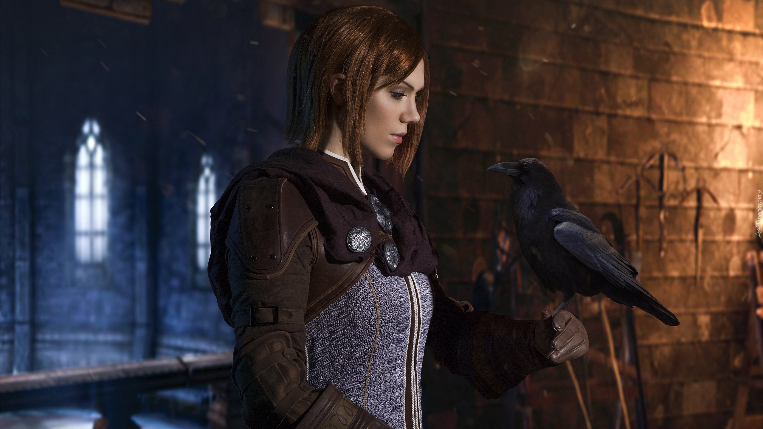 Gra, Dragon Age : Inkwizycja, Dziewczyna, Leliana, Kruk