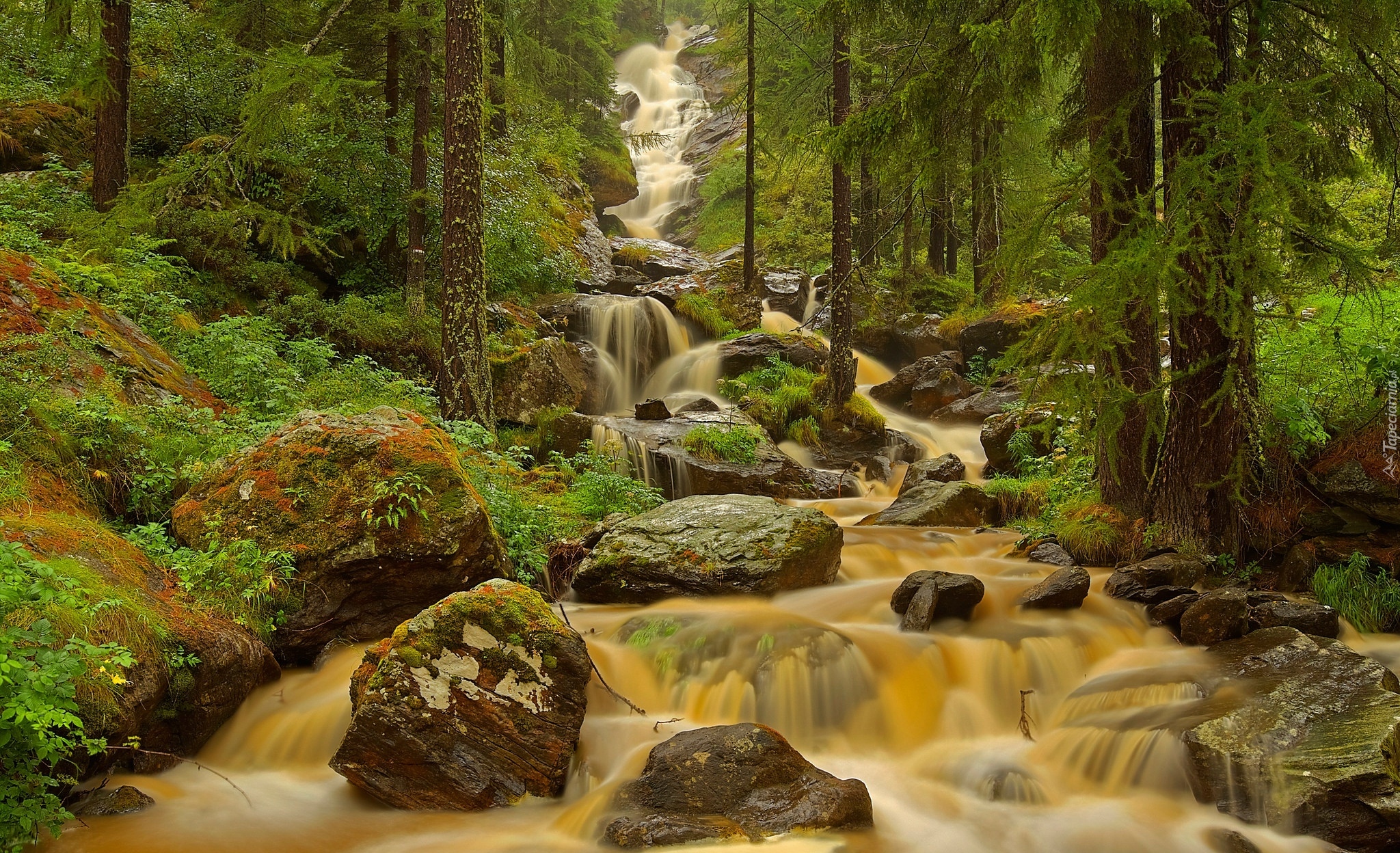 Włochy, Dolina Aosty, Rzeka, Kaskada, Kamienie, Las